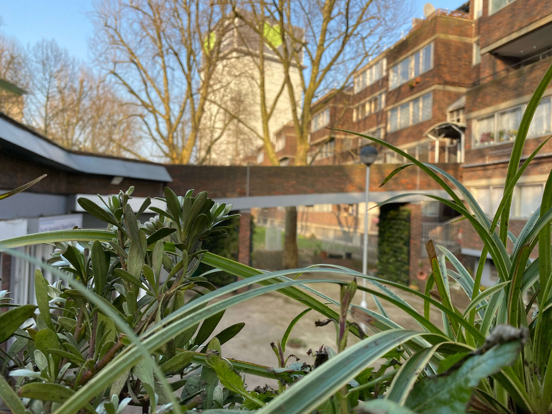 Lancaster West Living Walls