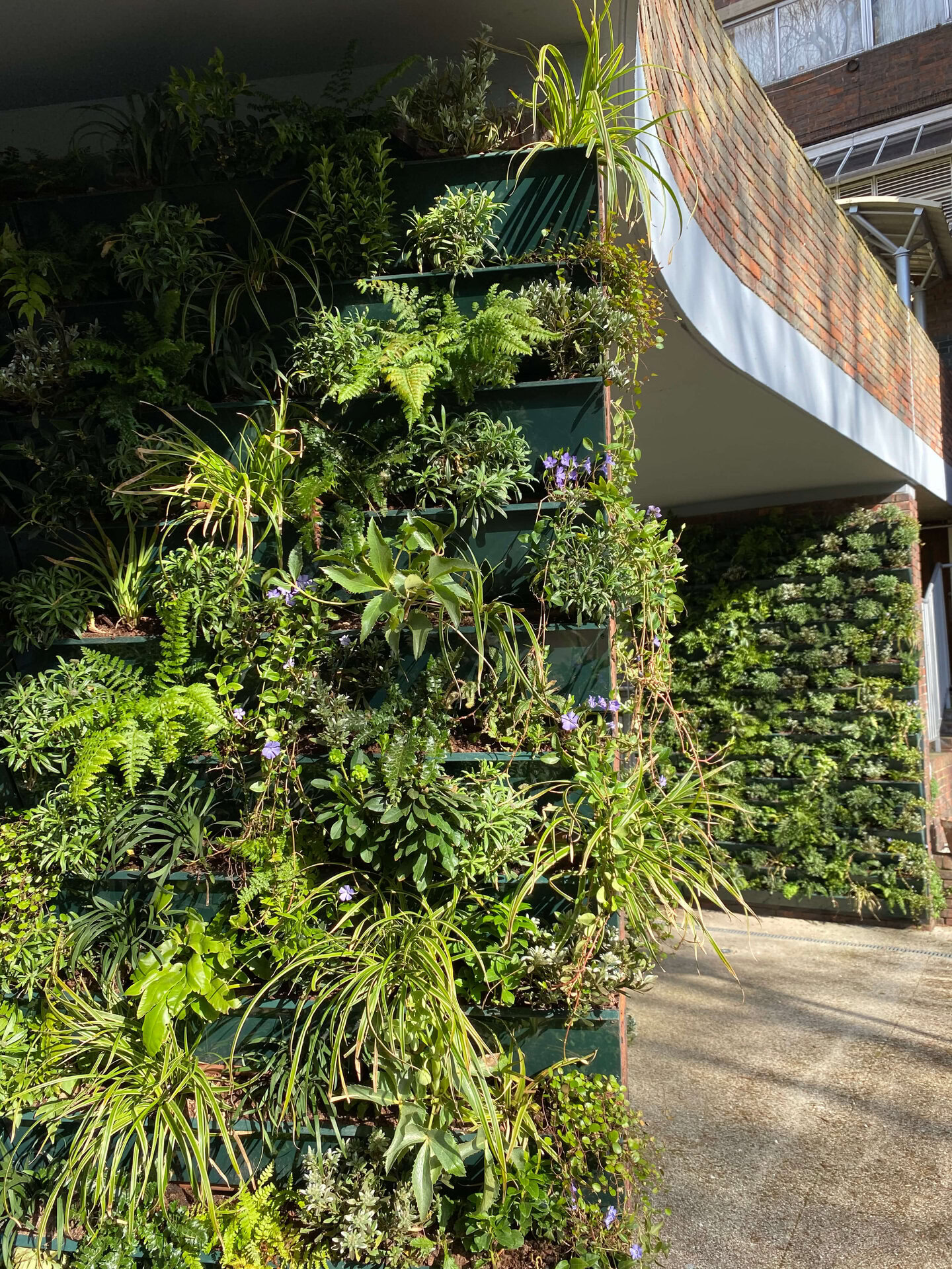 Lancaster West Living Walls