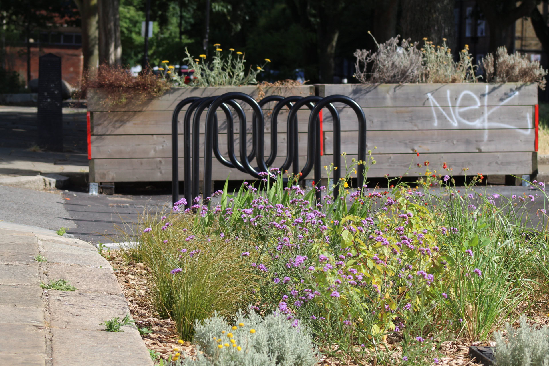Somers Town Rain Gardens