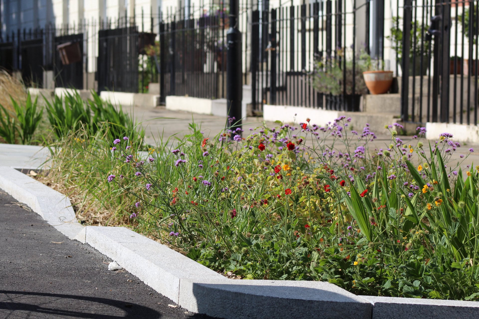 Rain Gardens