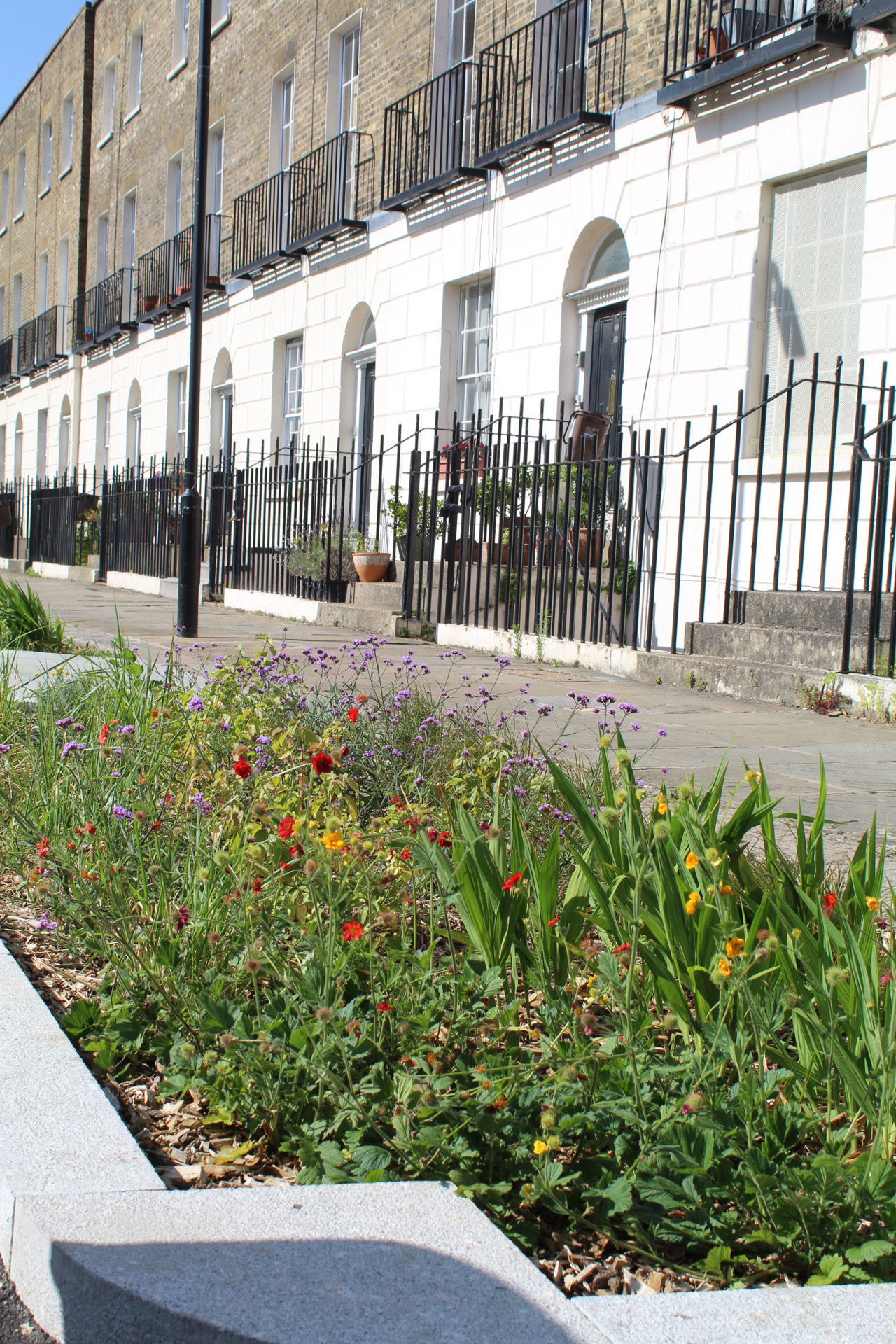Somers Town Rain Gardens