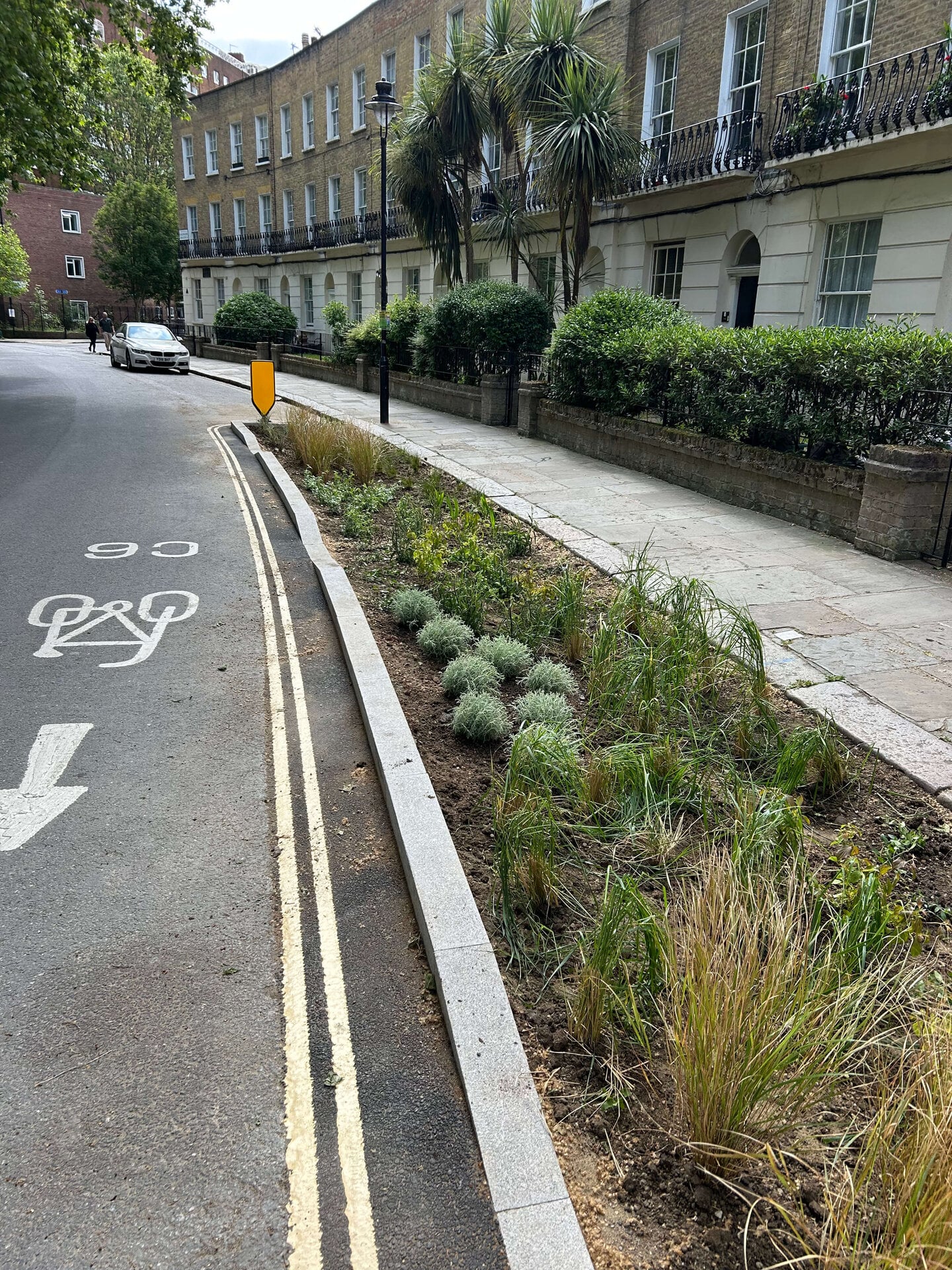 Somers Town Rain Gardens