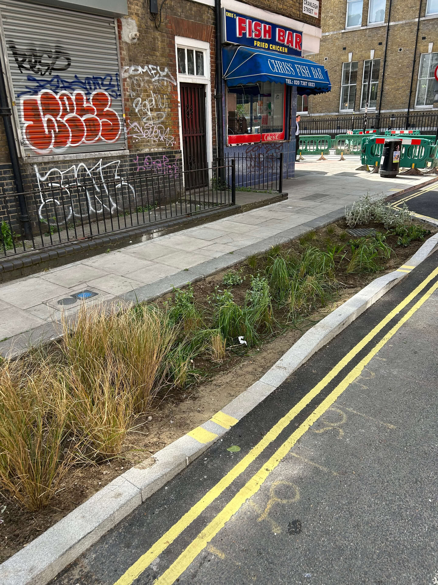Somers Town Rain Gardens