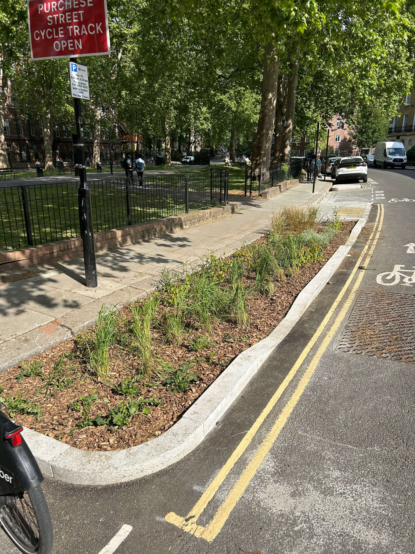Somers Town Rain Gardens