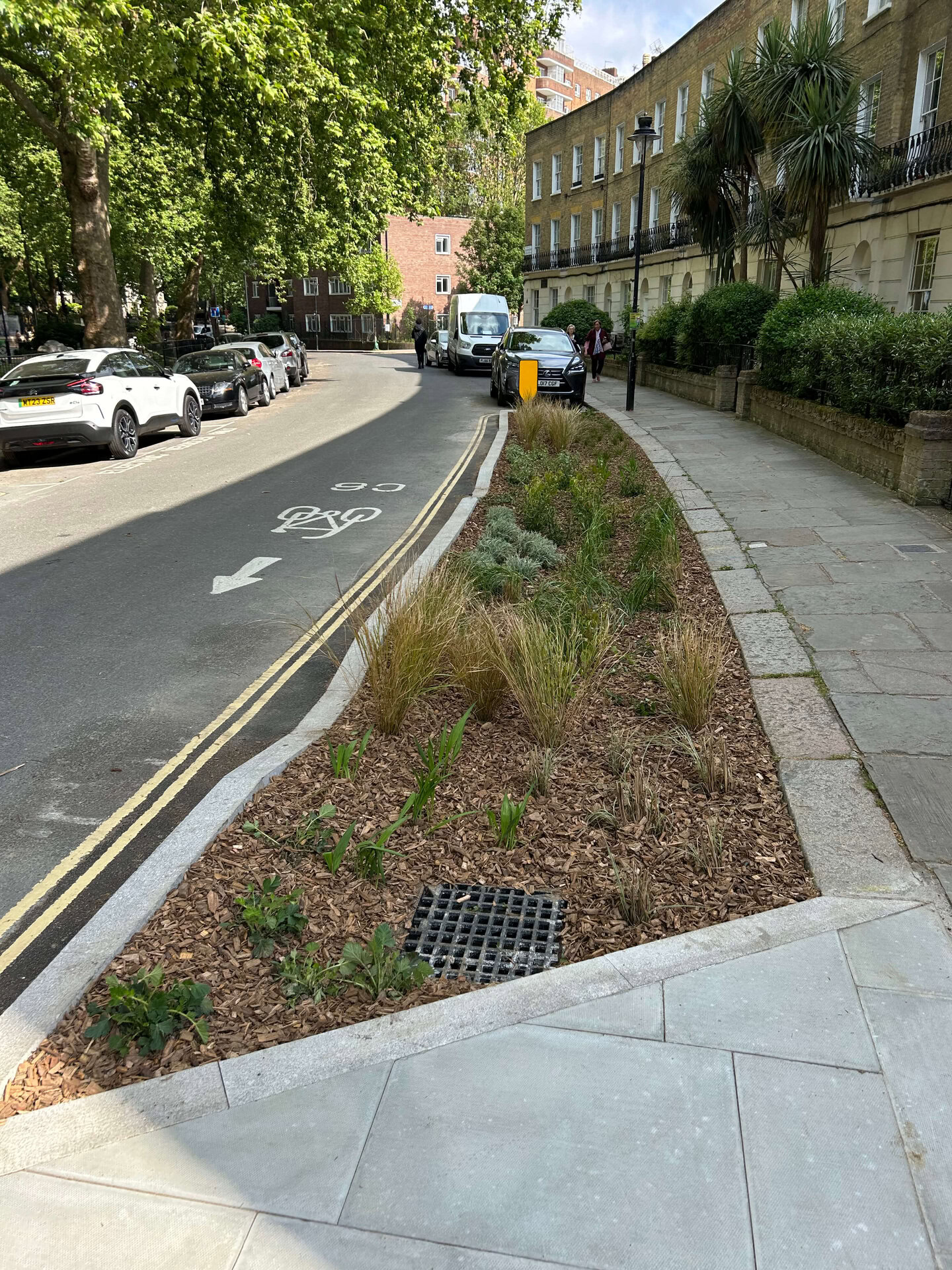 Somers Town Rain Gardens