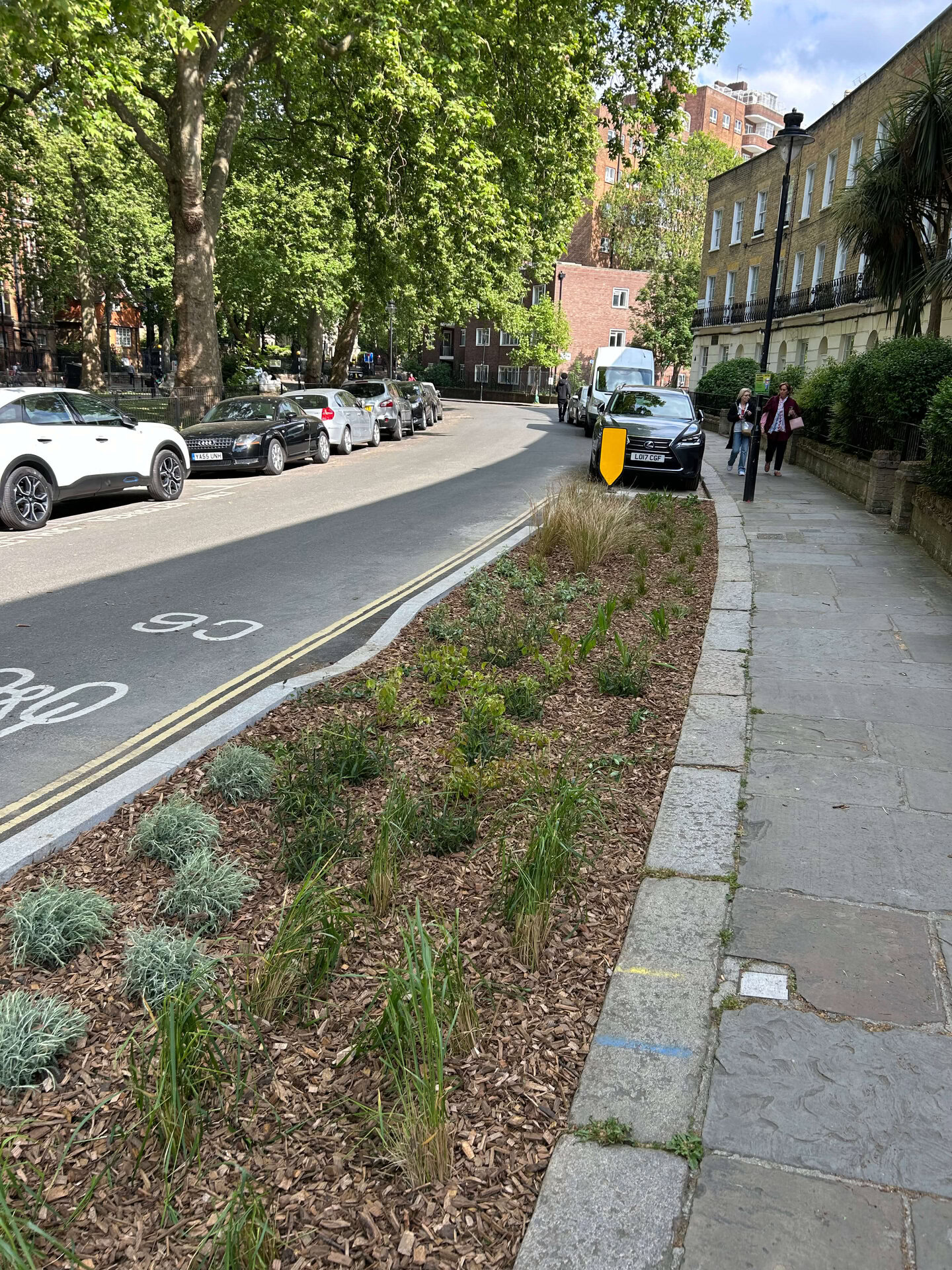 Somers Town Rain Gardens