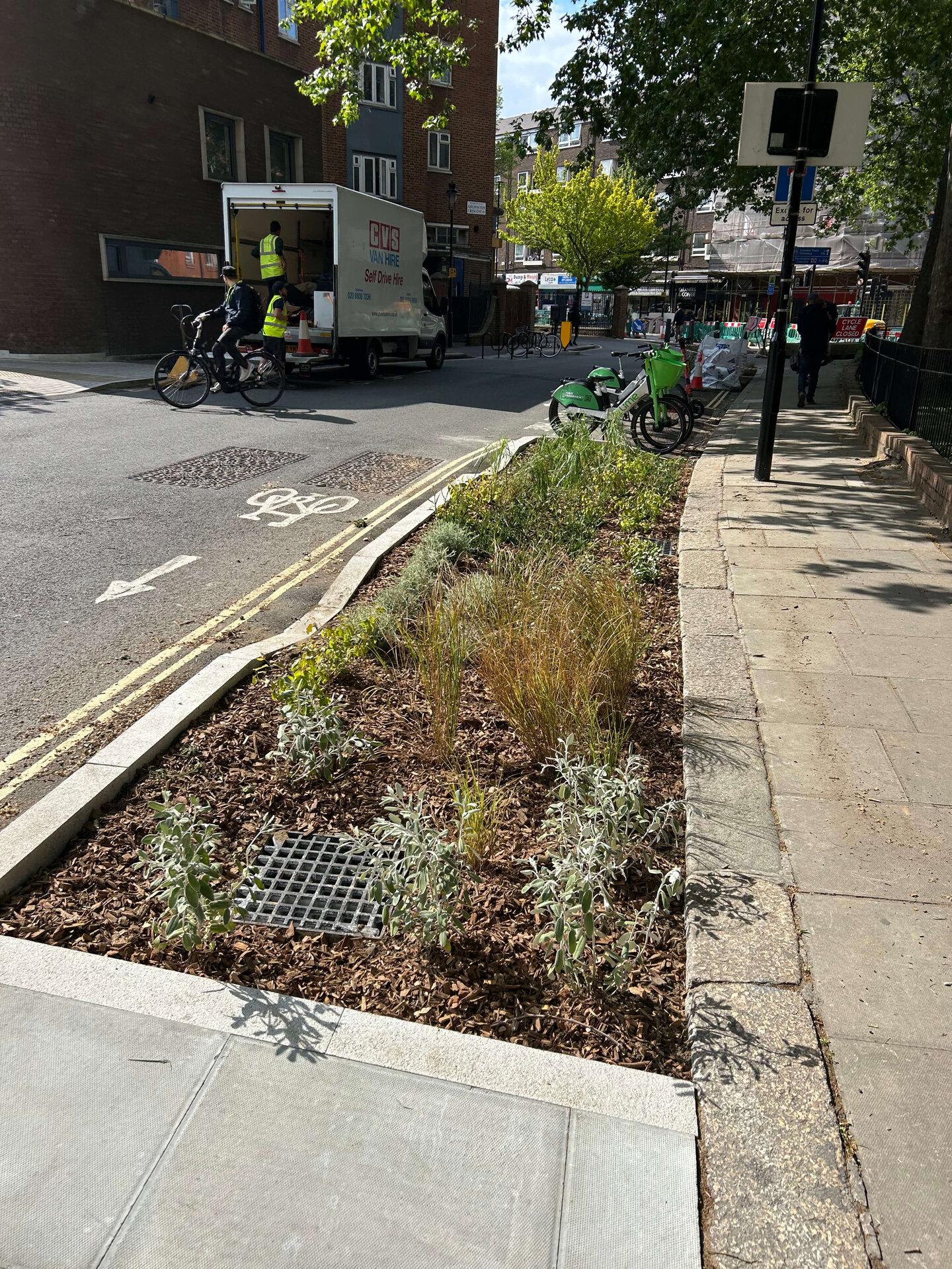 Somers Town Rain Gardens