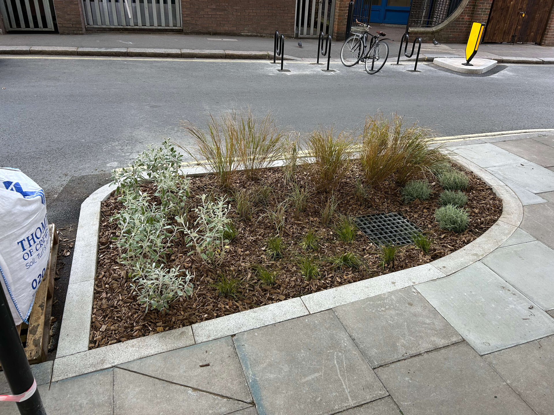 Somers Town Rain Gardens