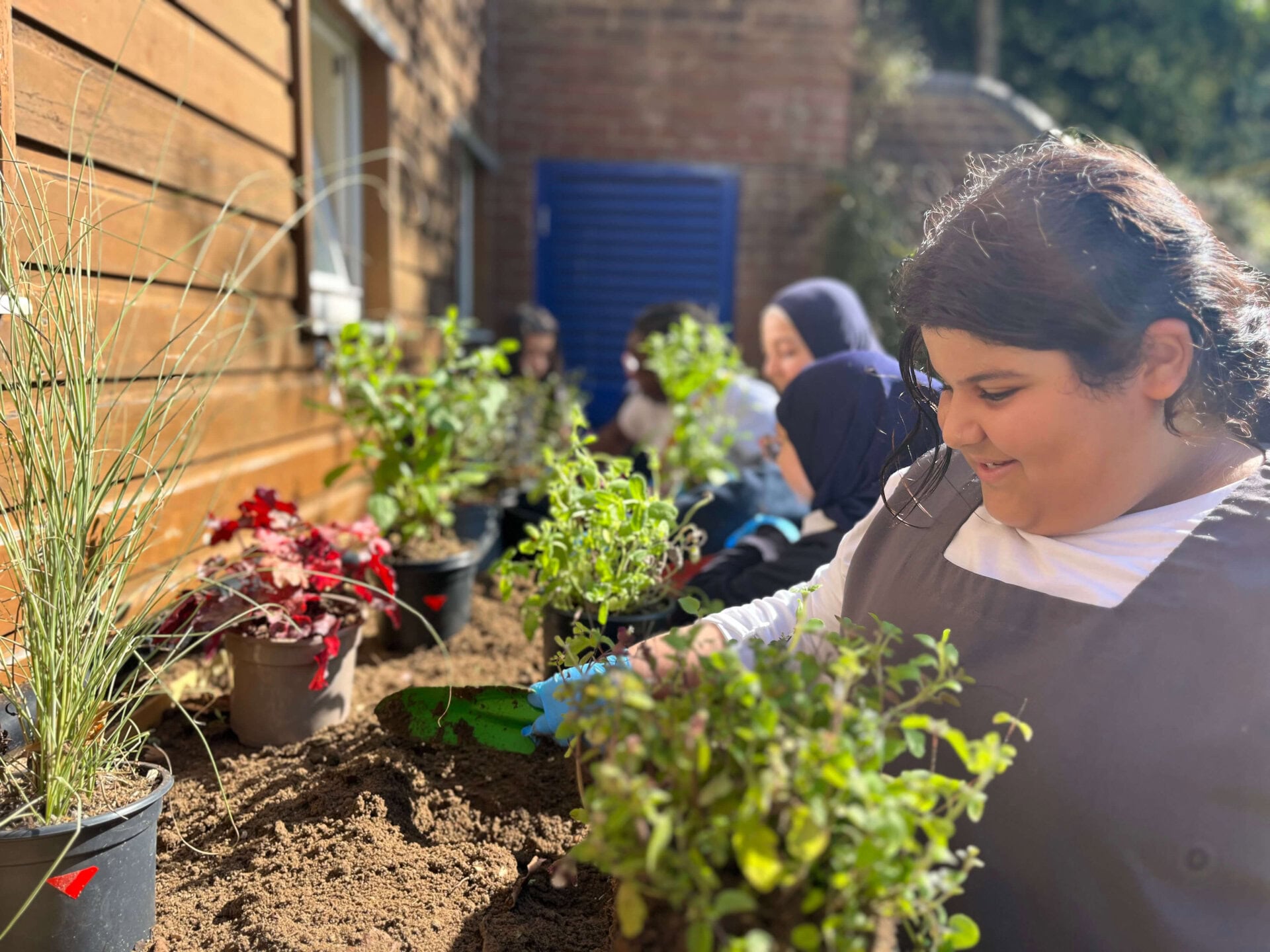 Nature Workshops