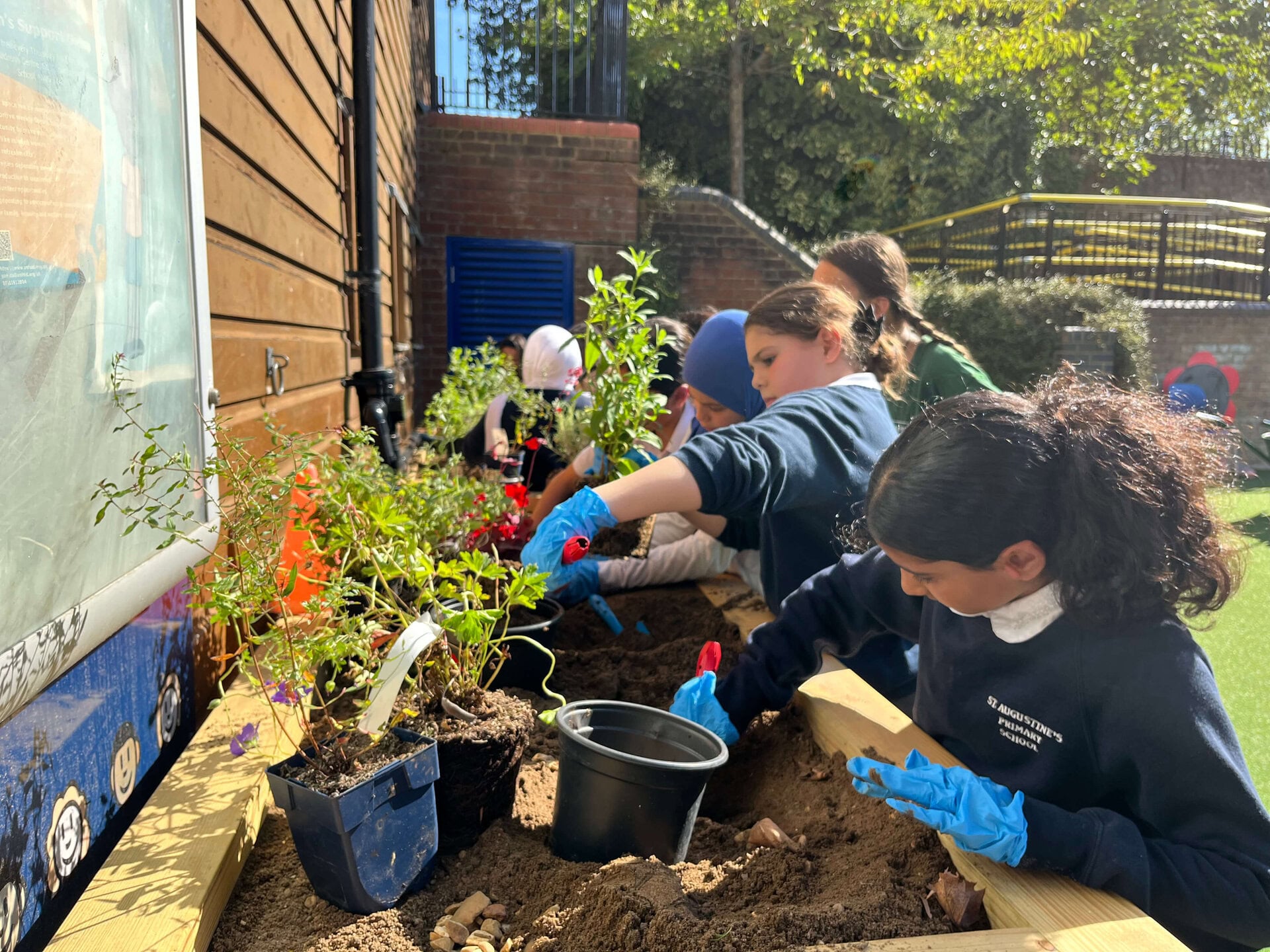 Nature Workshops