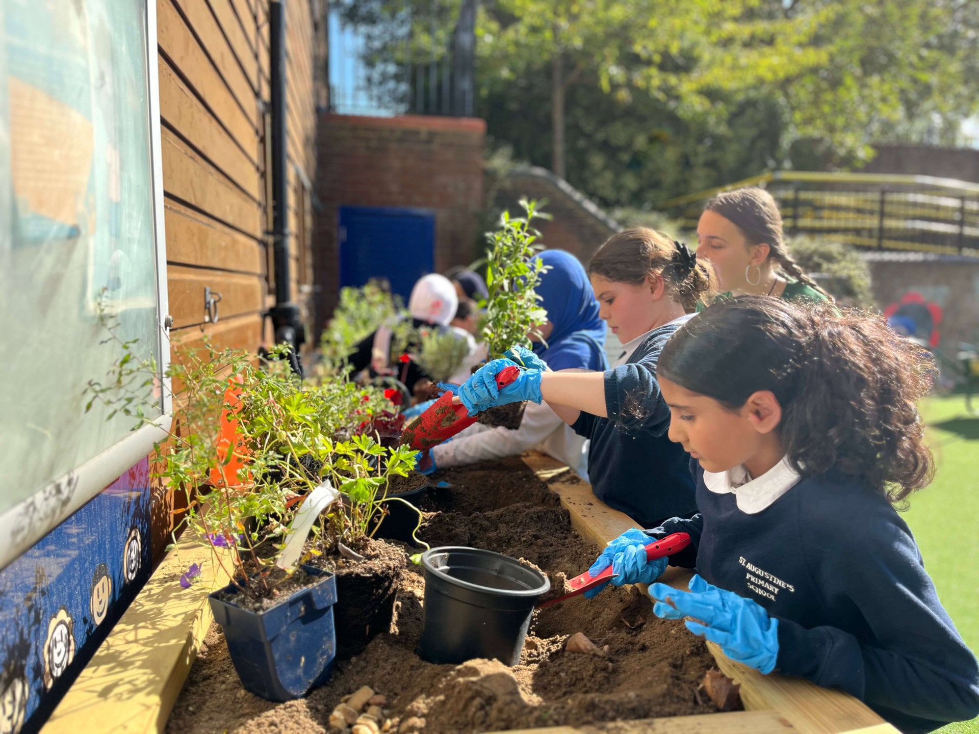 Westminster School SuDS Planters