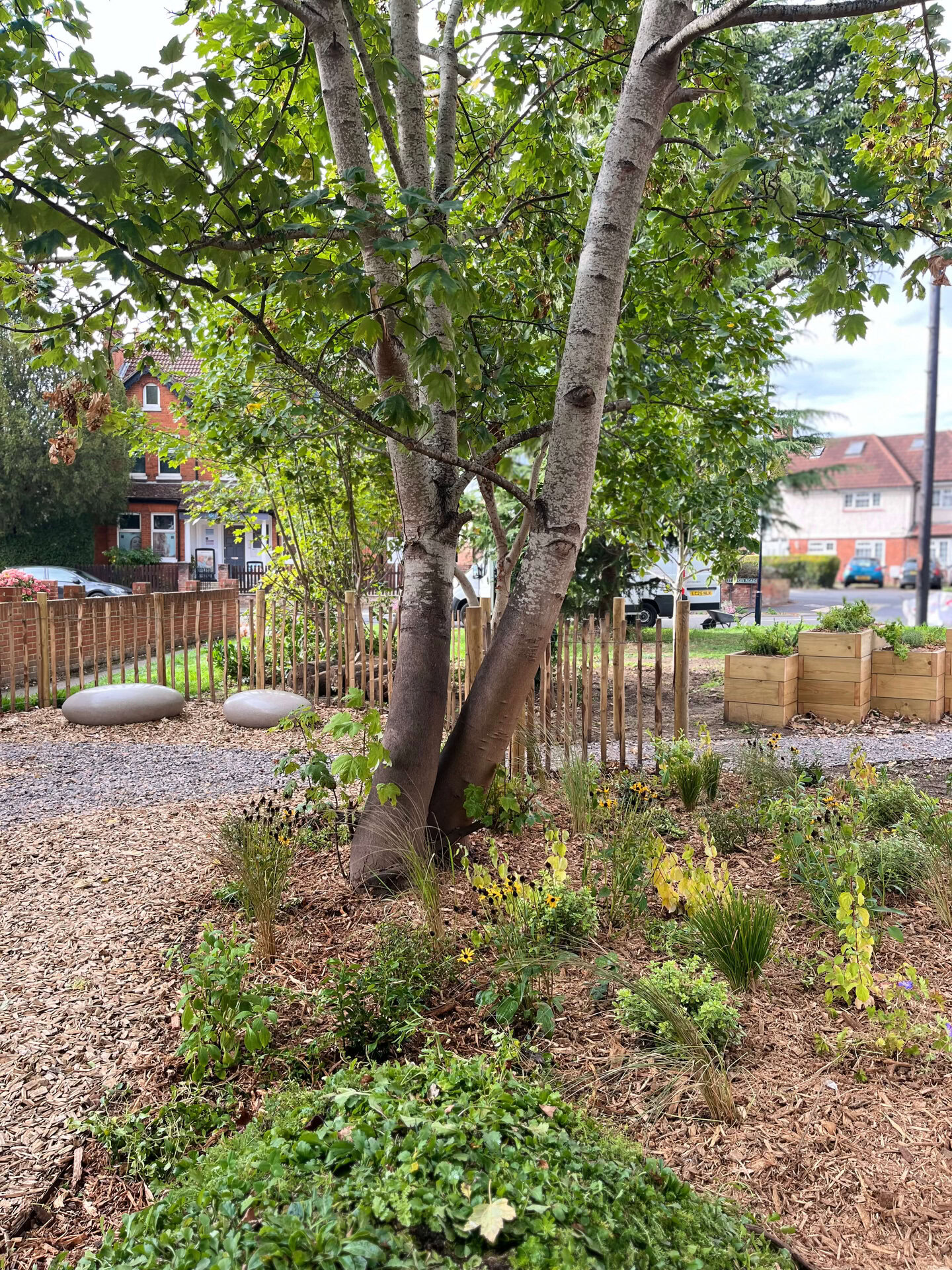 St Luke's Nature Garden