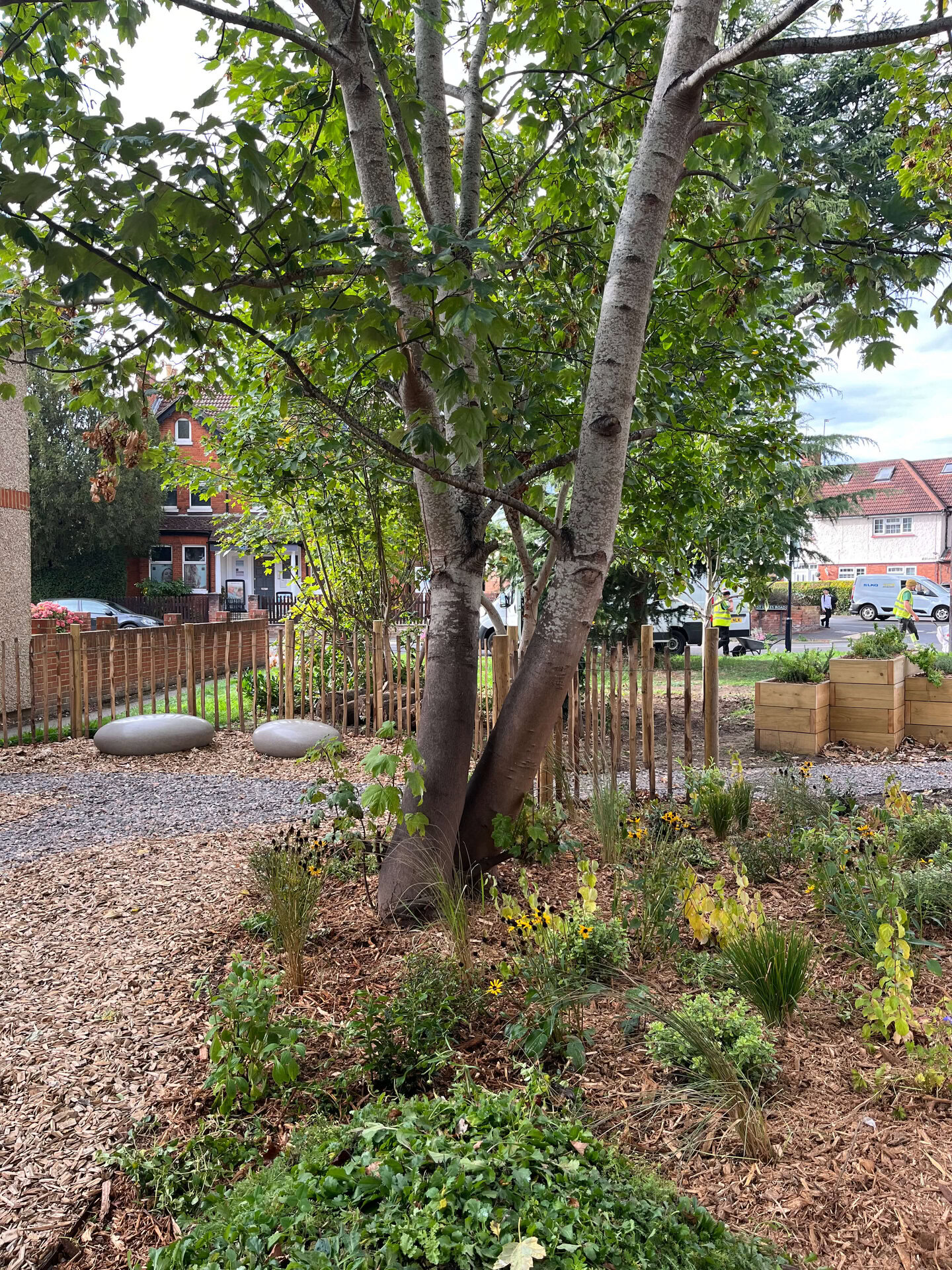 St Luke's Nature Garden