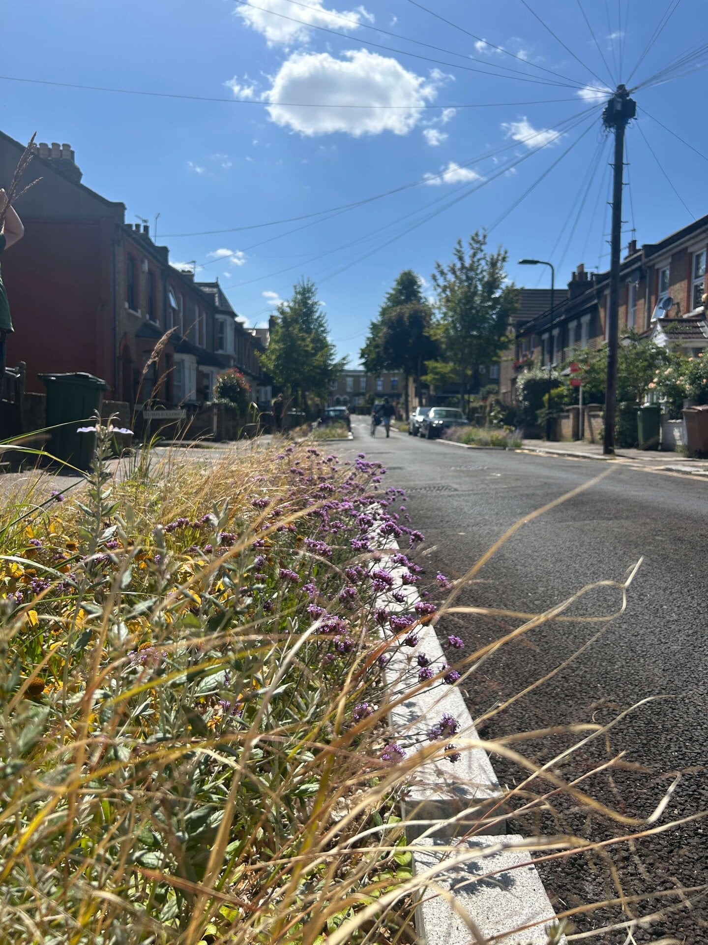 Wadley Road
