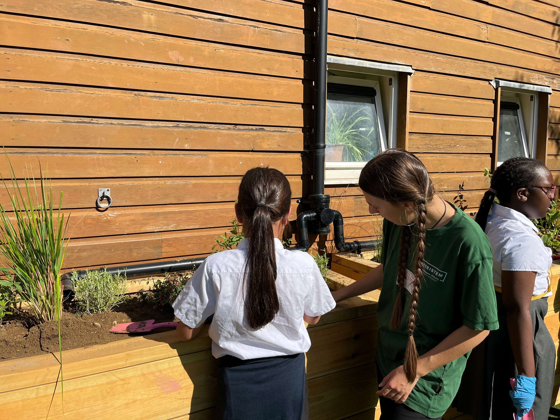 Westminster School SuDS Planters