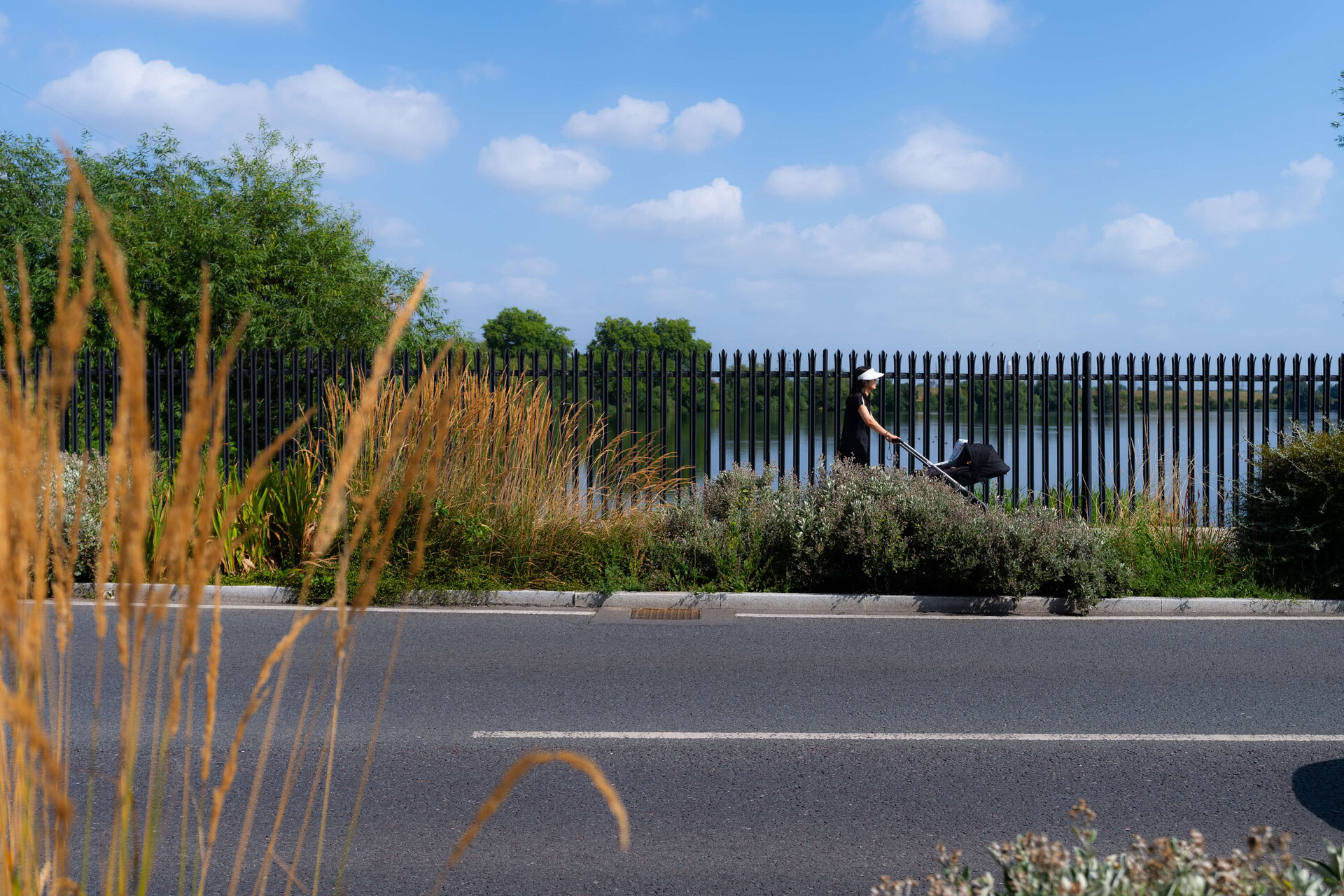 Forest Road Rain Gardens