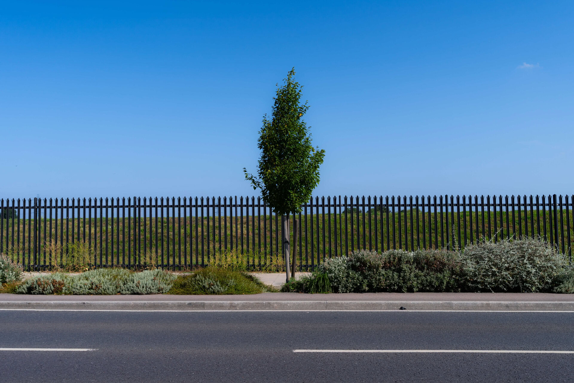 Forest Road Rain Gardens
