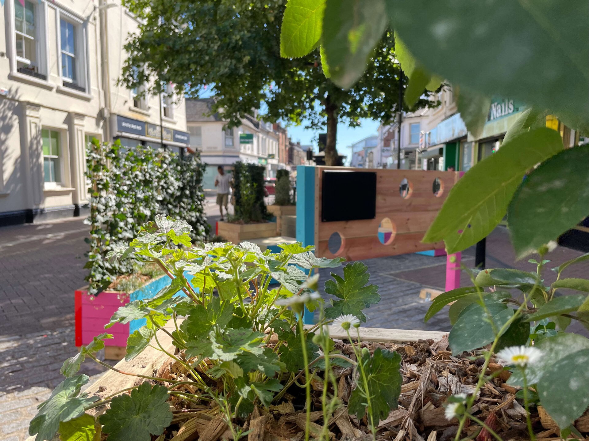 Ashford Vibrant Planters and Pocket Park
