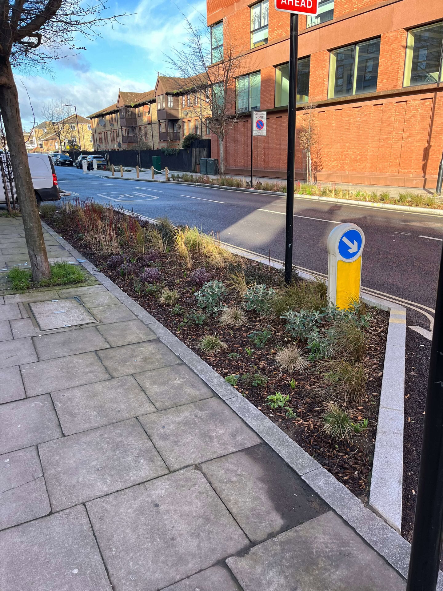 Downham Road Rain Gardens
