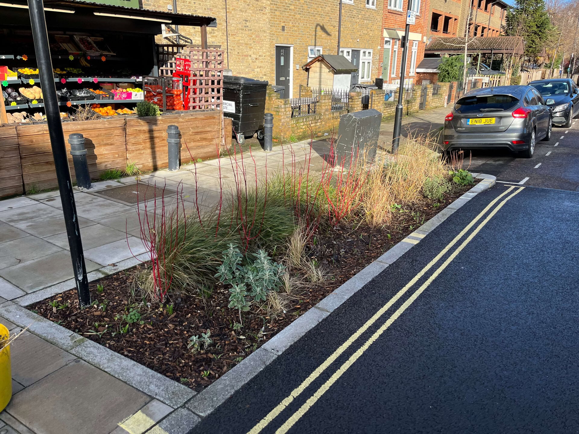 Downham Road Rain Gardens