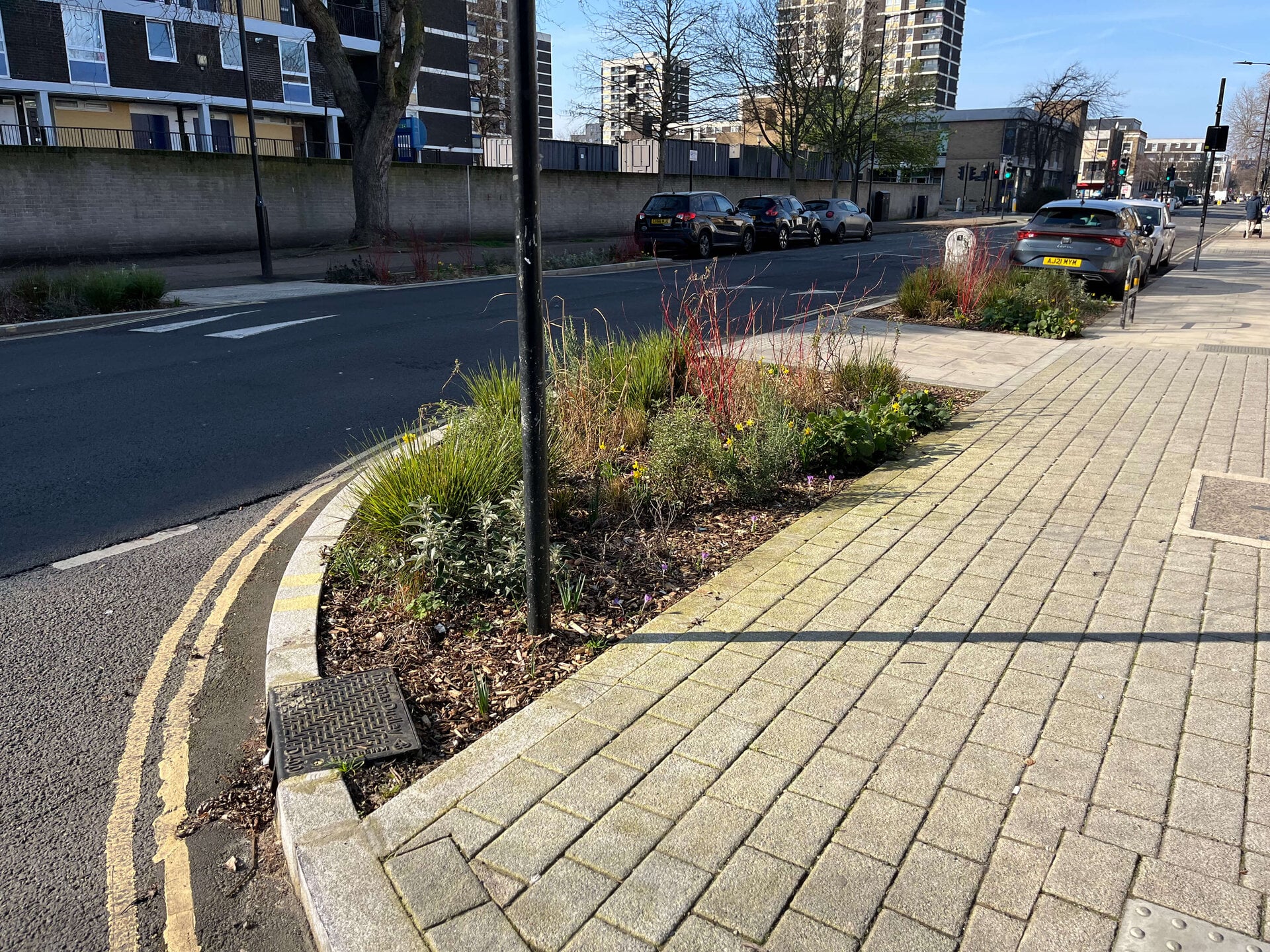 Downham Road Rain Gardens