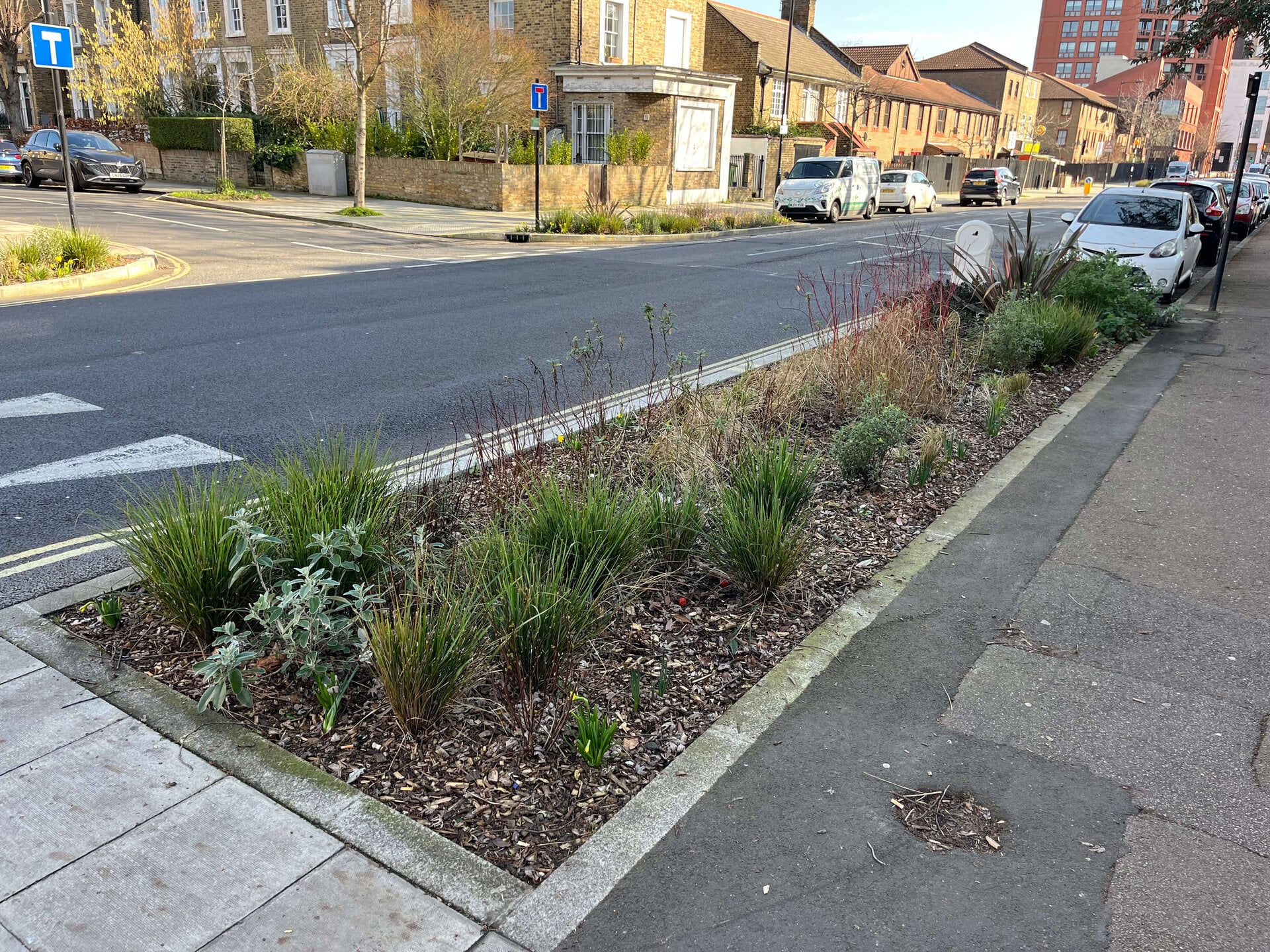 Downham Road Rain Gardens