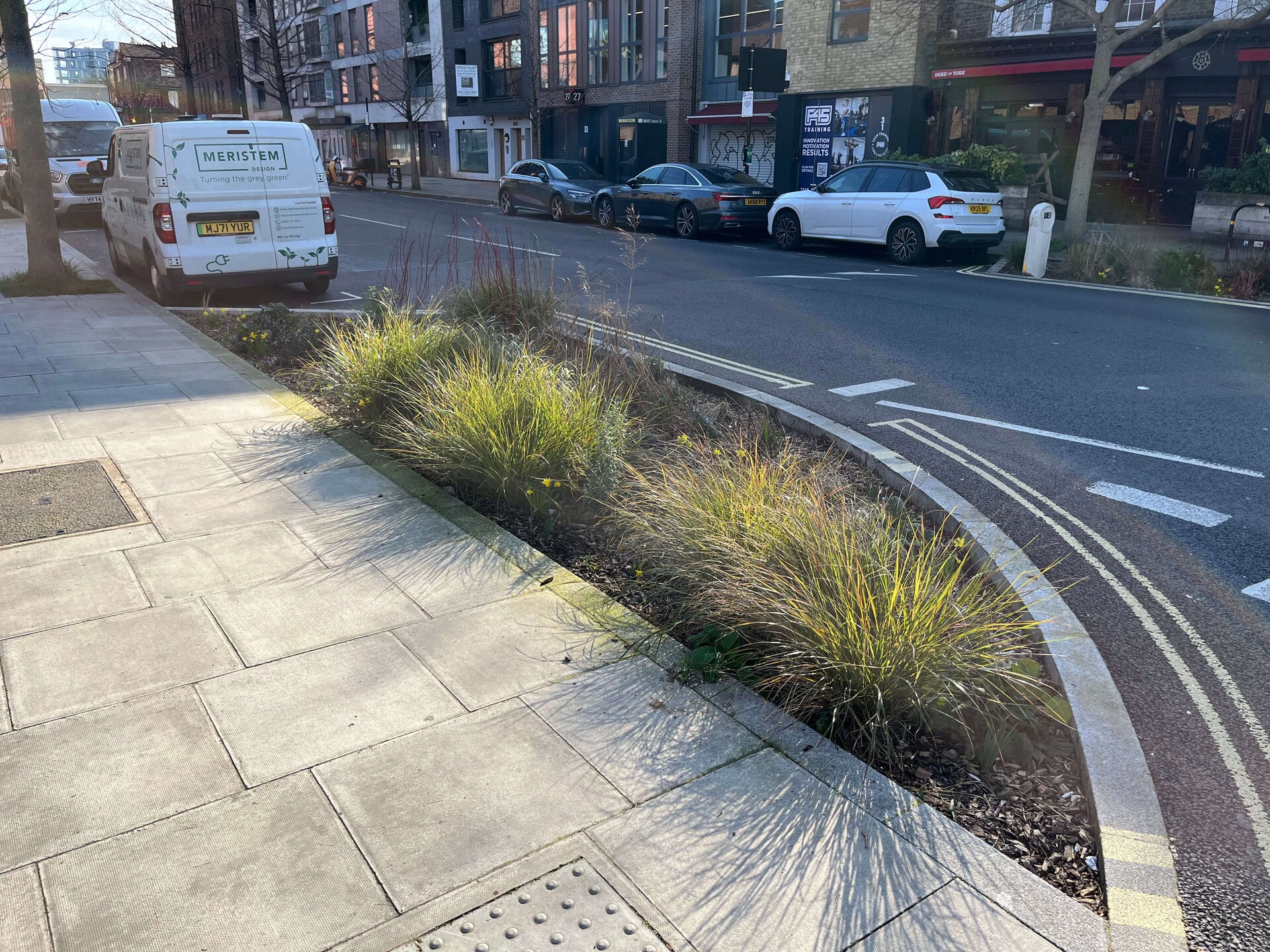 Downham Road Rain Gardens