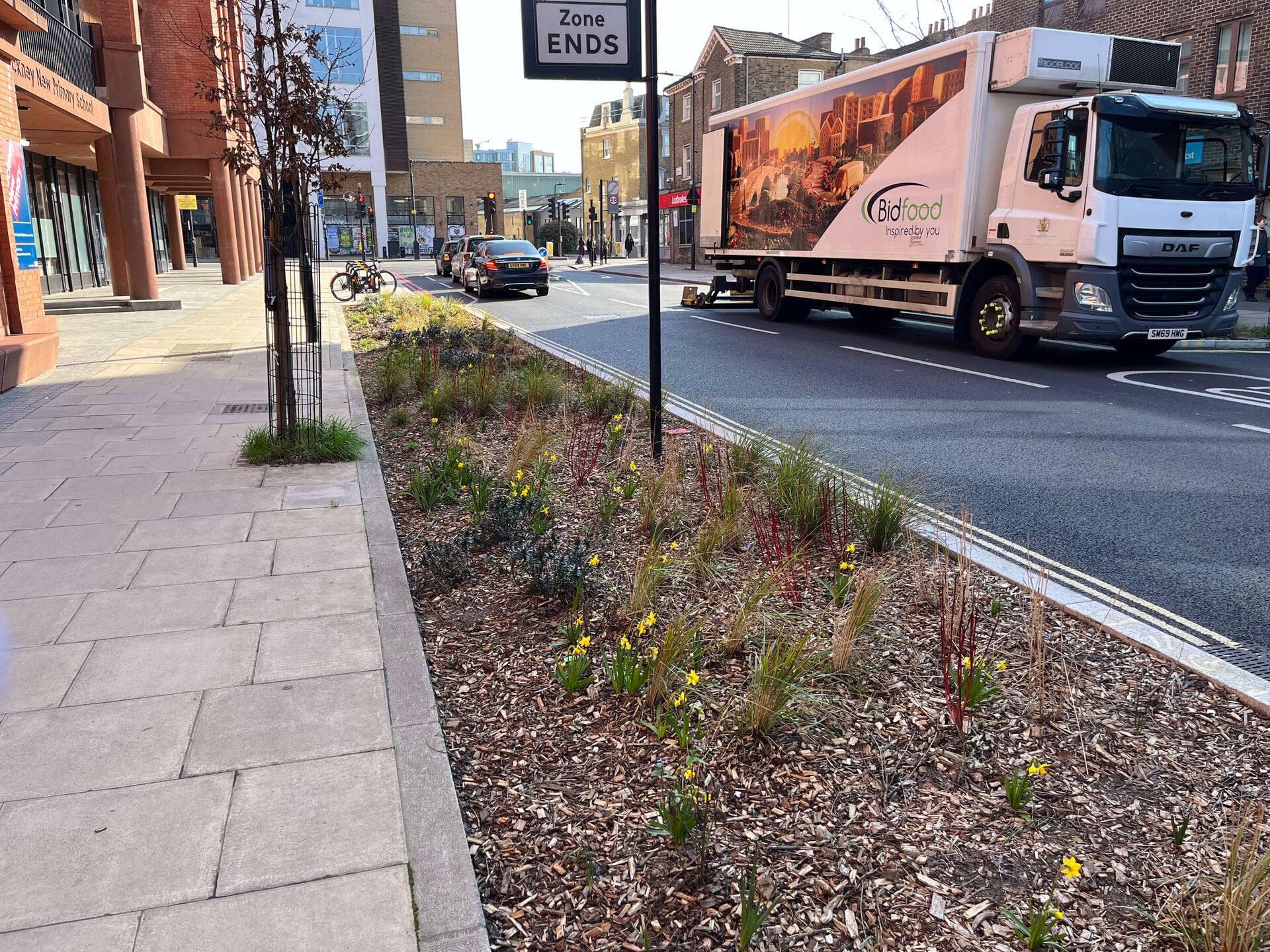 Downham Road Rain Gardens