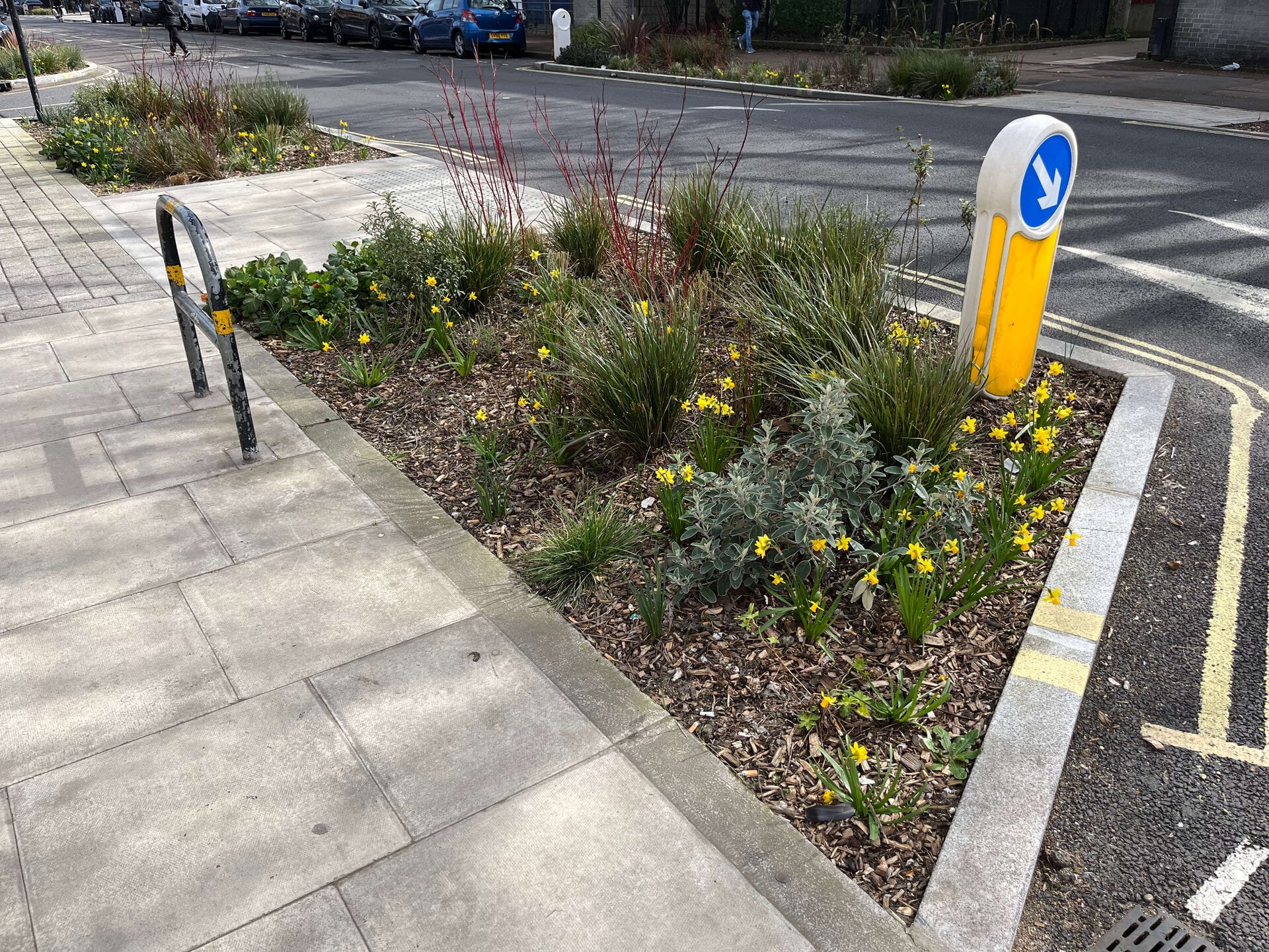 Downham Road Rain Gardens