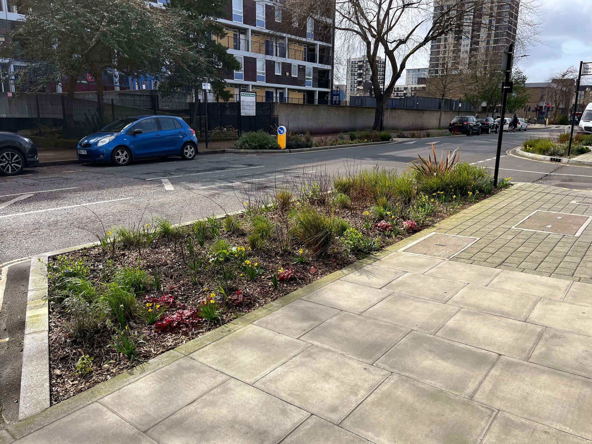Downham Road Rain Gardens
