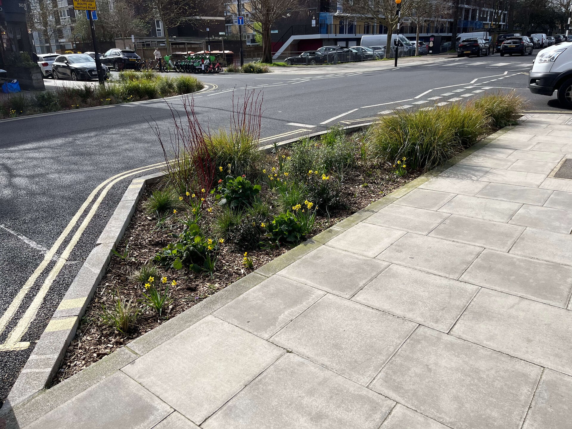 Downham Road Rain Gardens