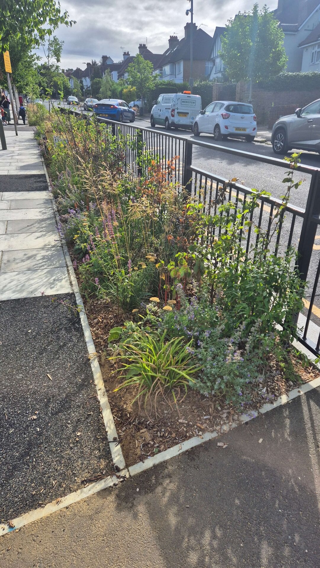 Wessex Gardens School SuDS