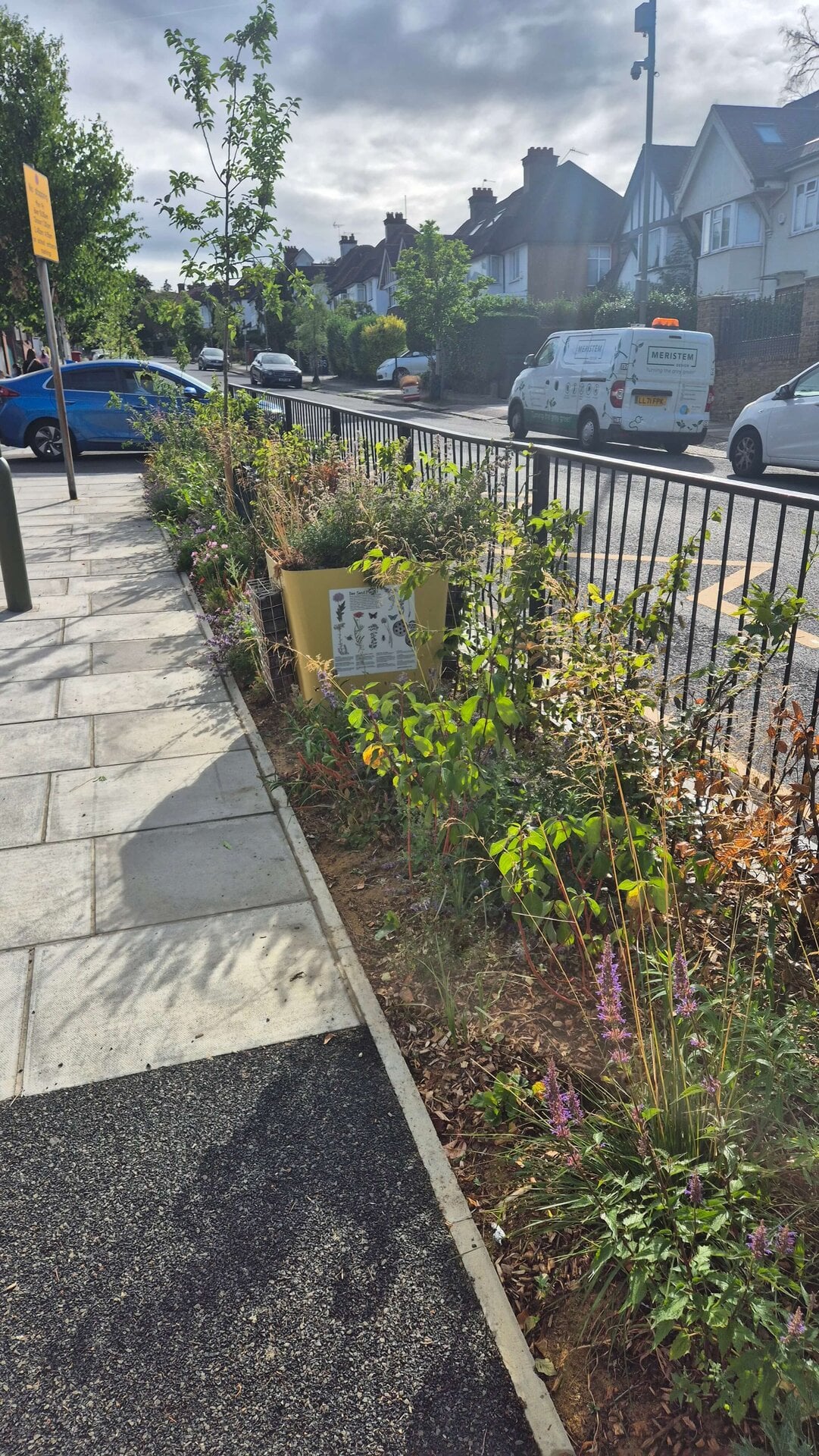 Wessex Gardens School SuDS