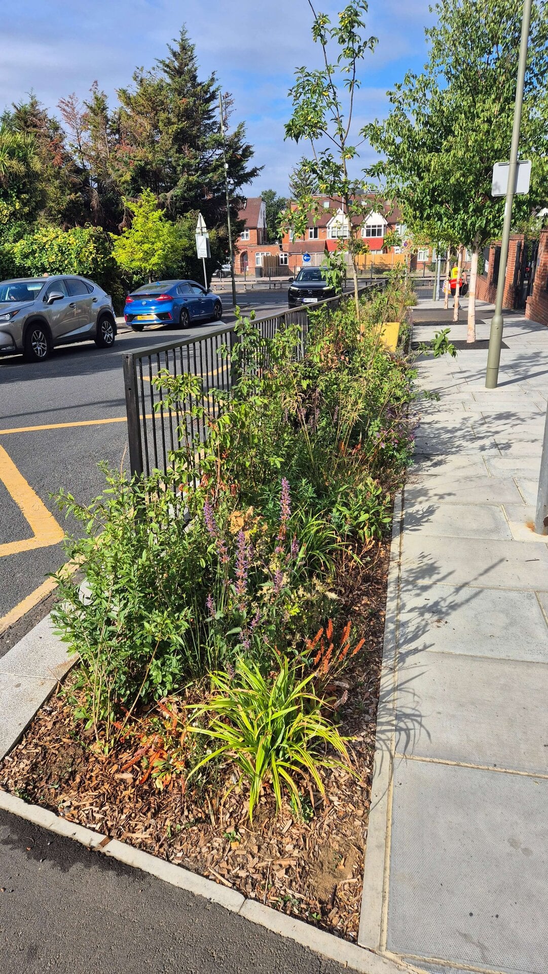 Wessex Gardens School SuDS