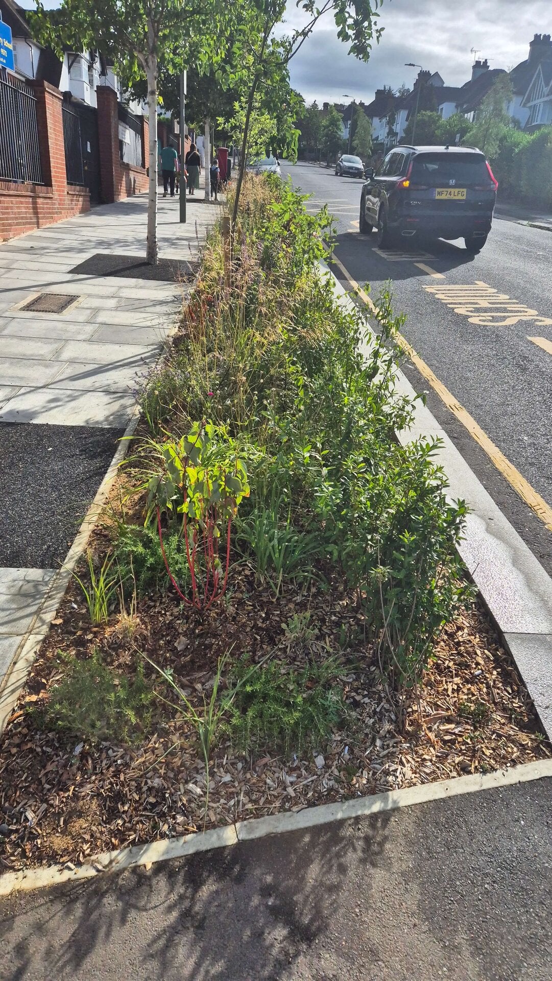 Wessex Gardens School SuDS