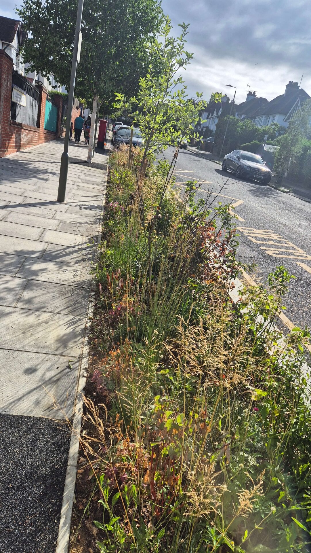 Wessex Gardens School SuDS