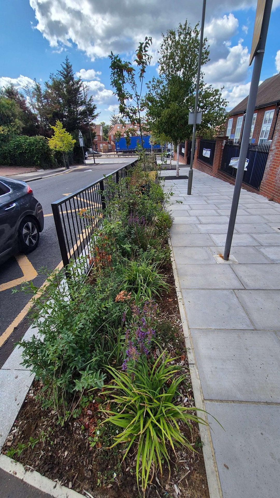 Wessex Gardens School SuDS