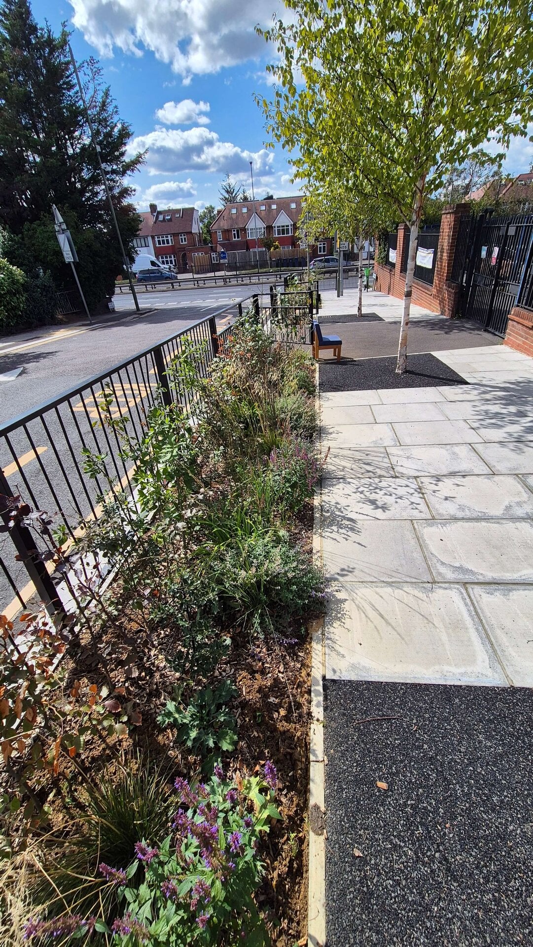 Wessex Gardens School SuDS