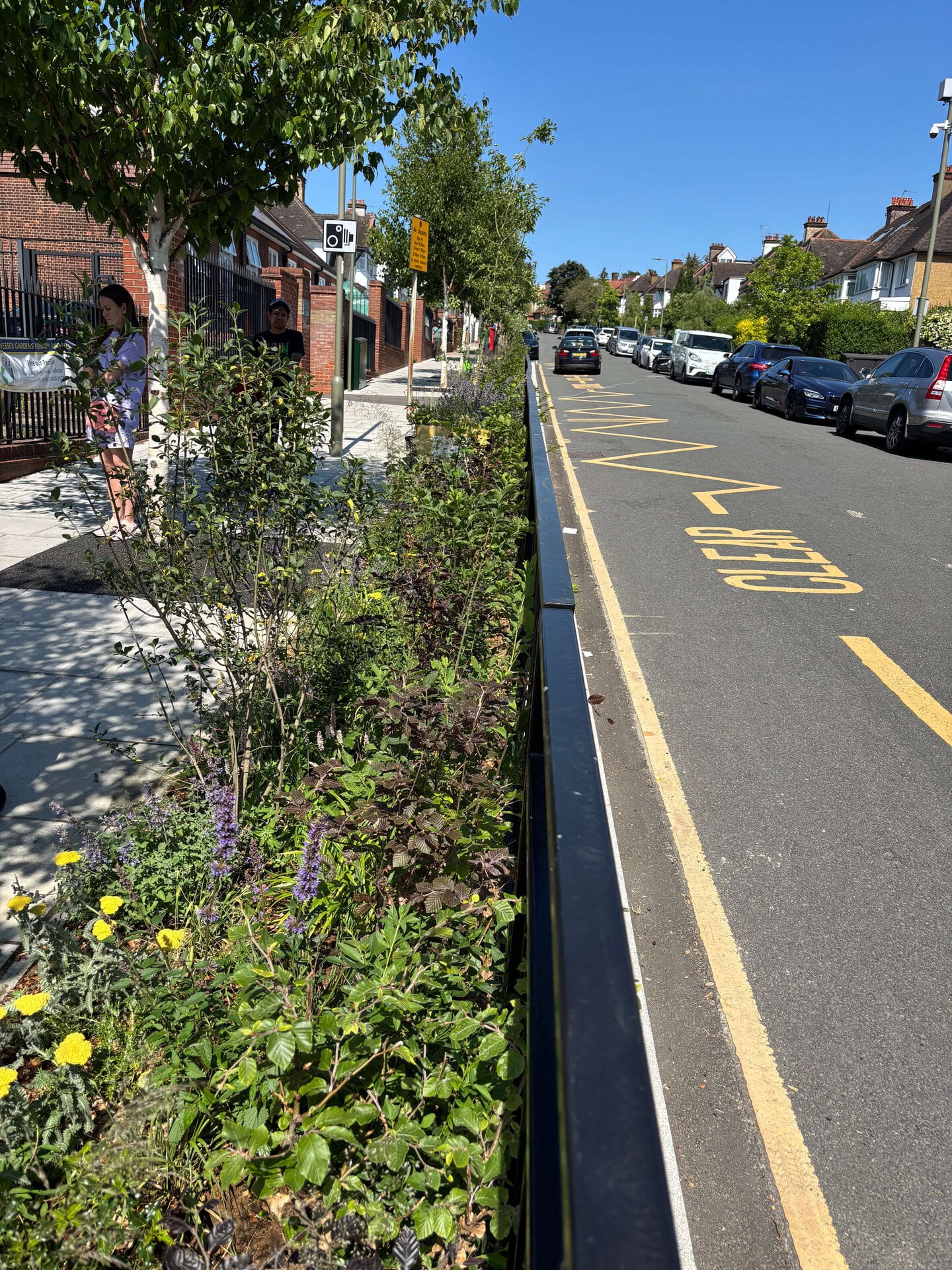 Wessex Gardens School SuDS
