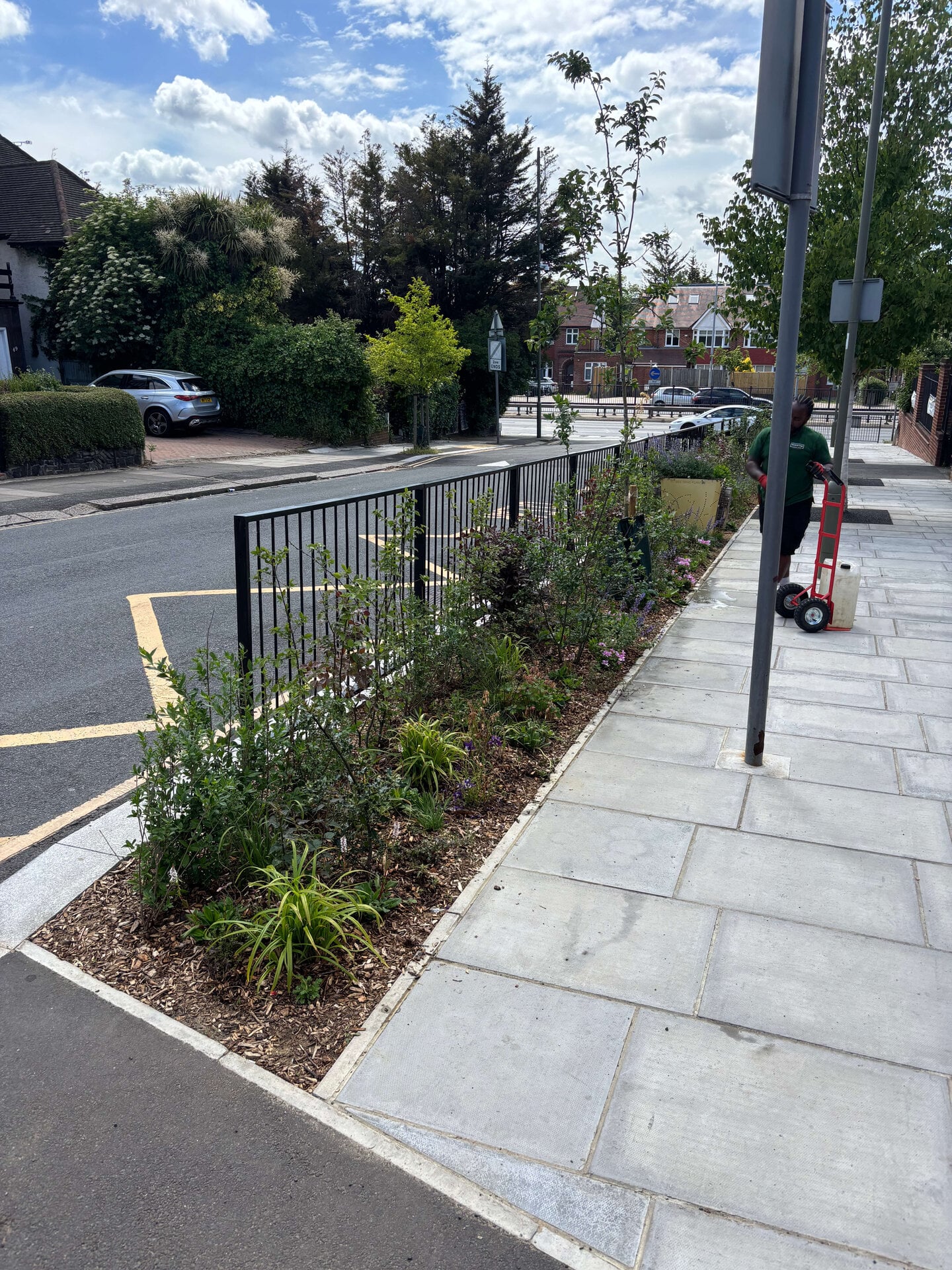 Wessex Gardens School SuDS