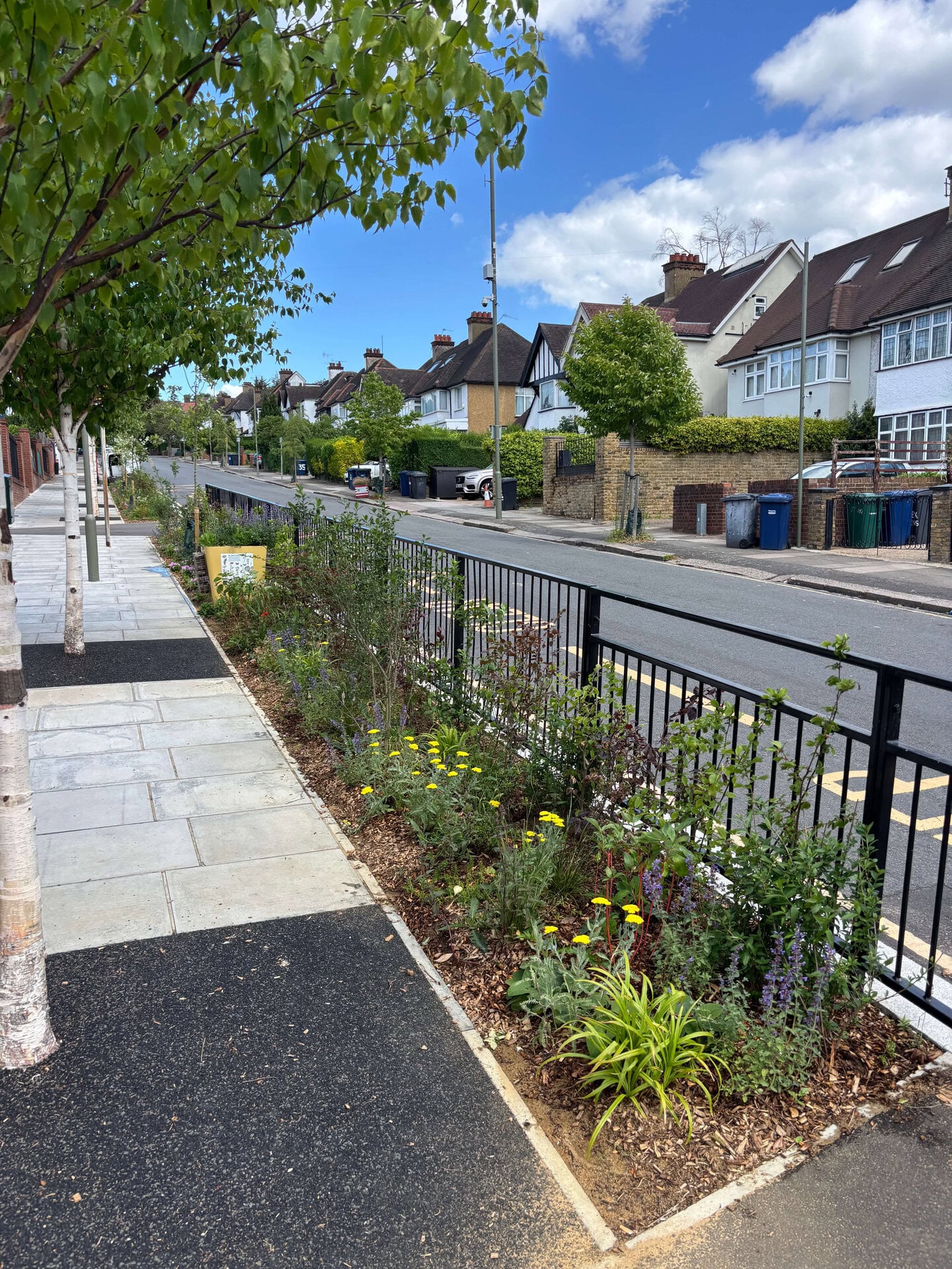 Wessex Gardens School SuDS