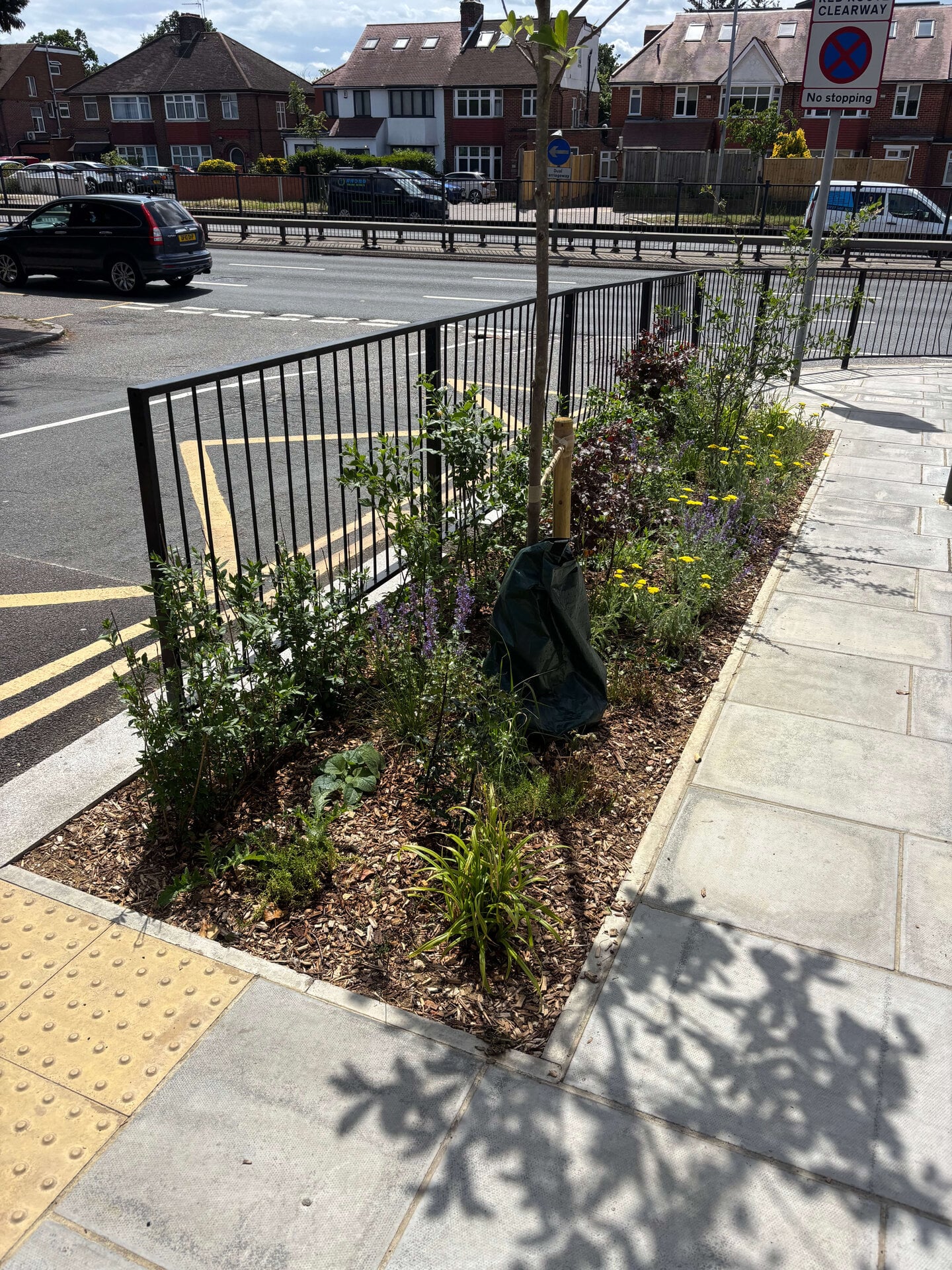 Wessex Gardens School SuDS