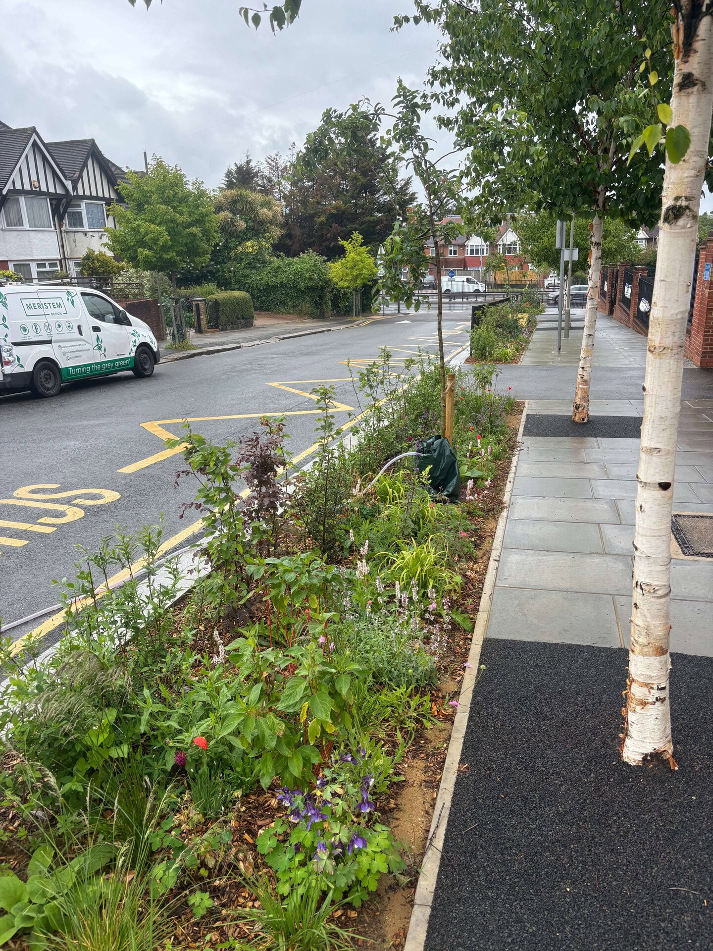 Wessex Gardens School SuDS