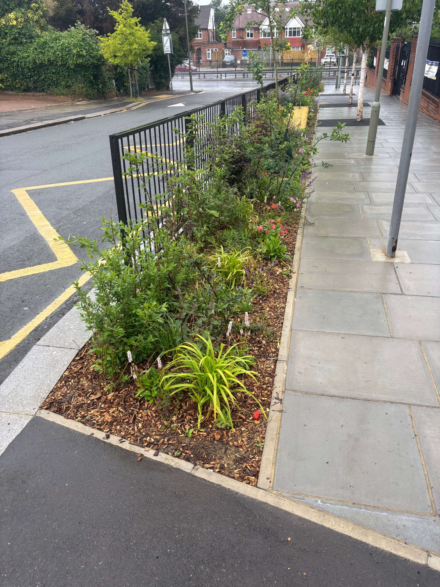 Wessex Gardens School SuDS