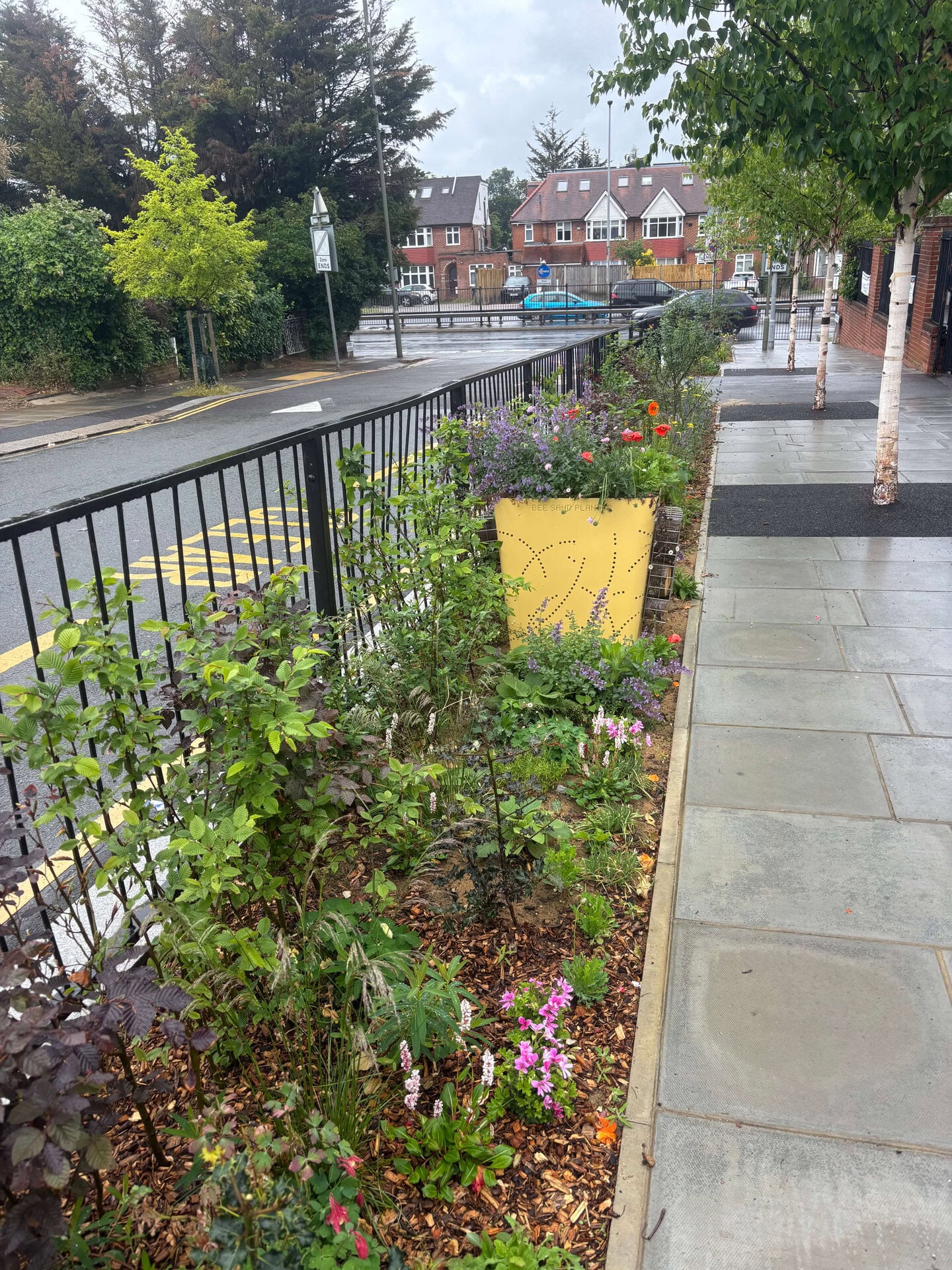 Wessex Gardens School SuDS