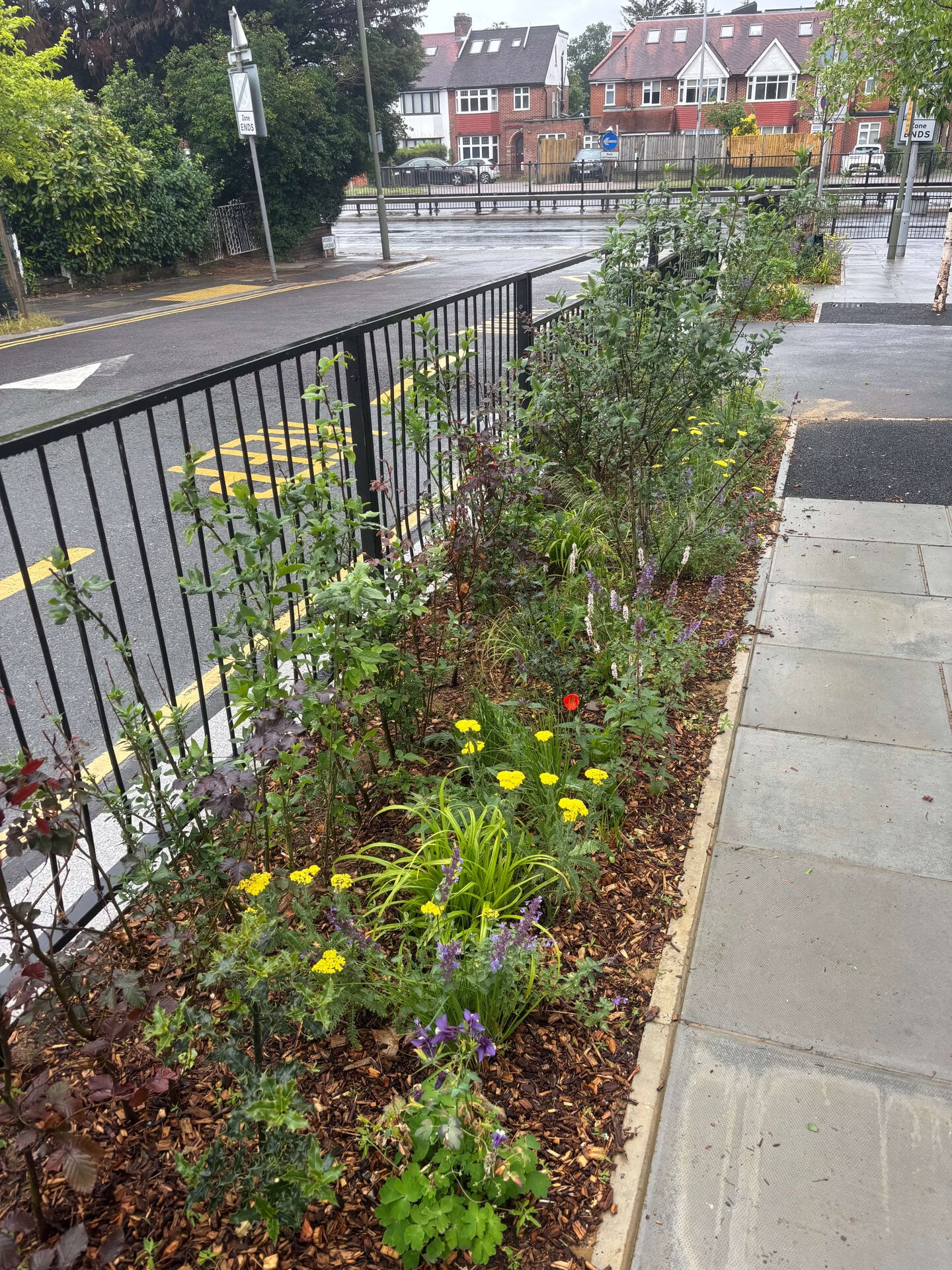 Wessex Gardens School SuDS