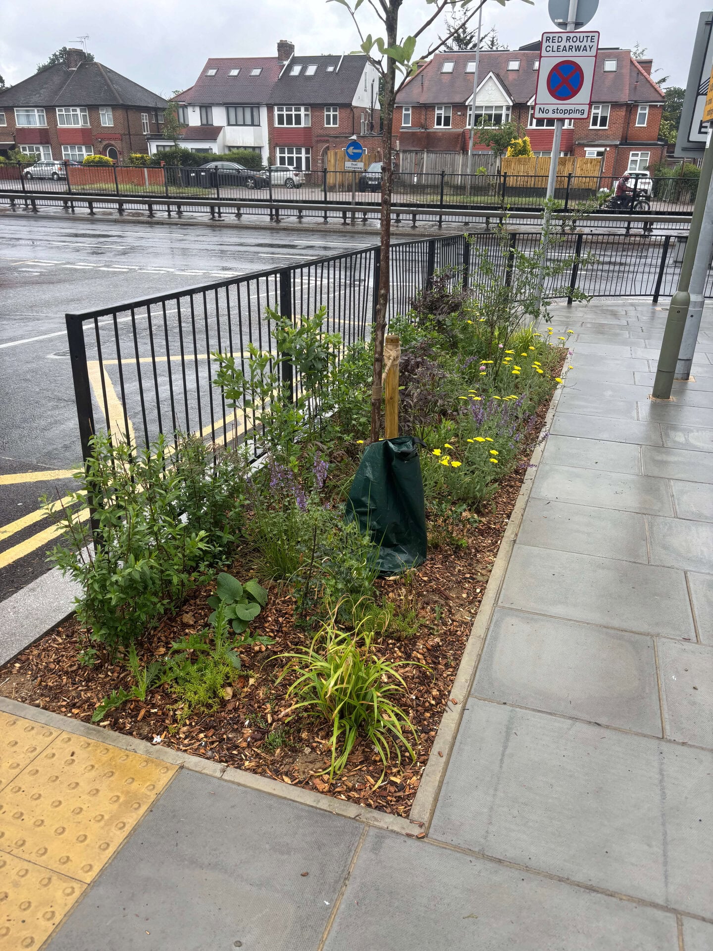 Wessex Gardens School SuDS