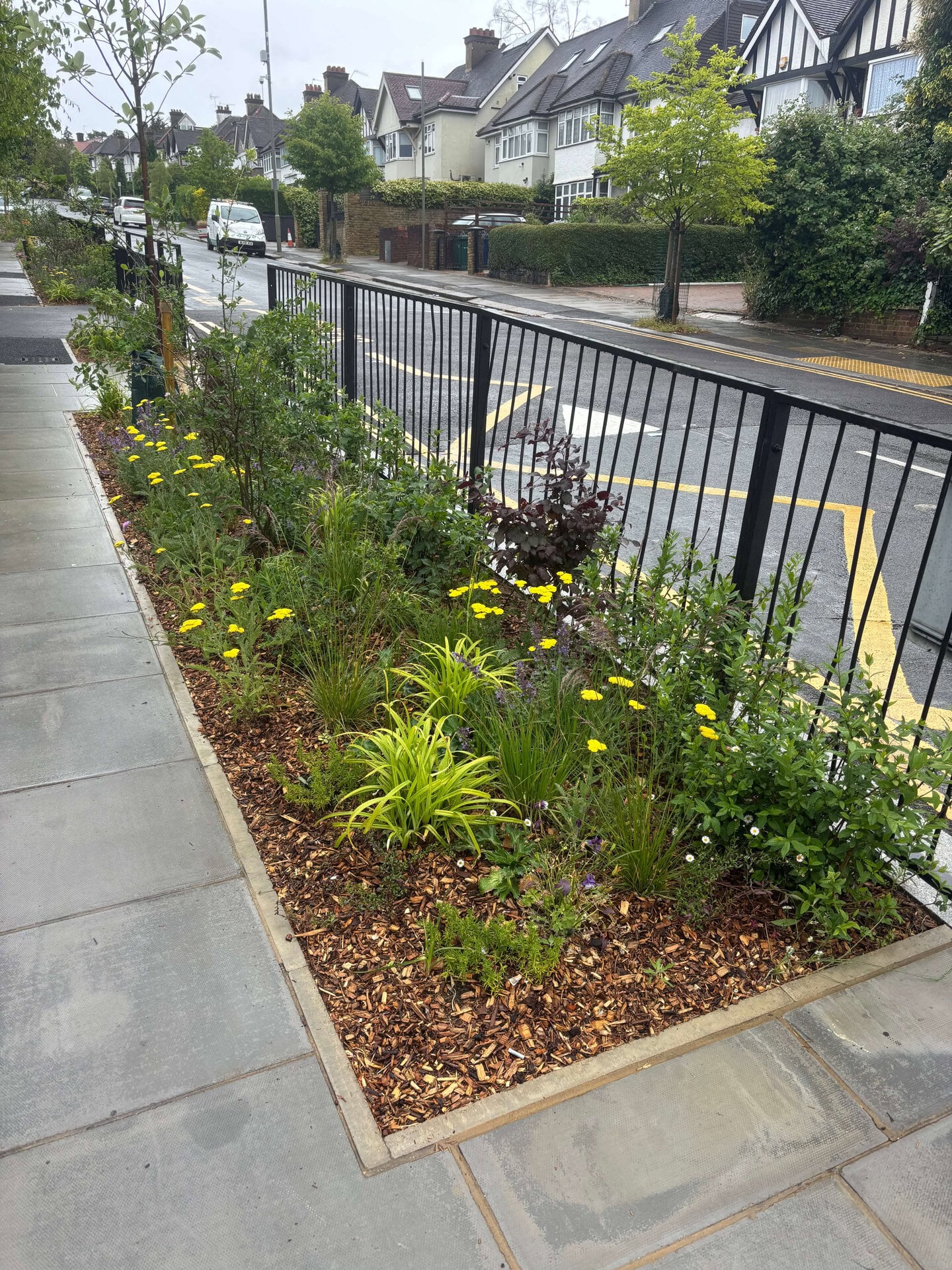 Wessex Gardens School SuDS
