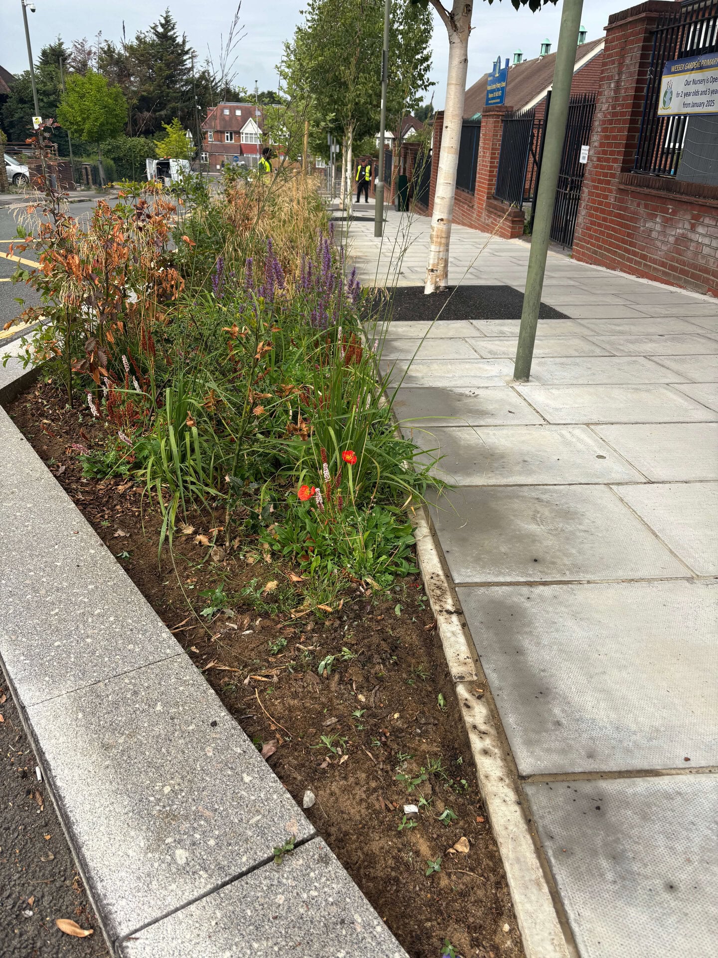Wessex Gardens School SuDS