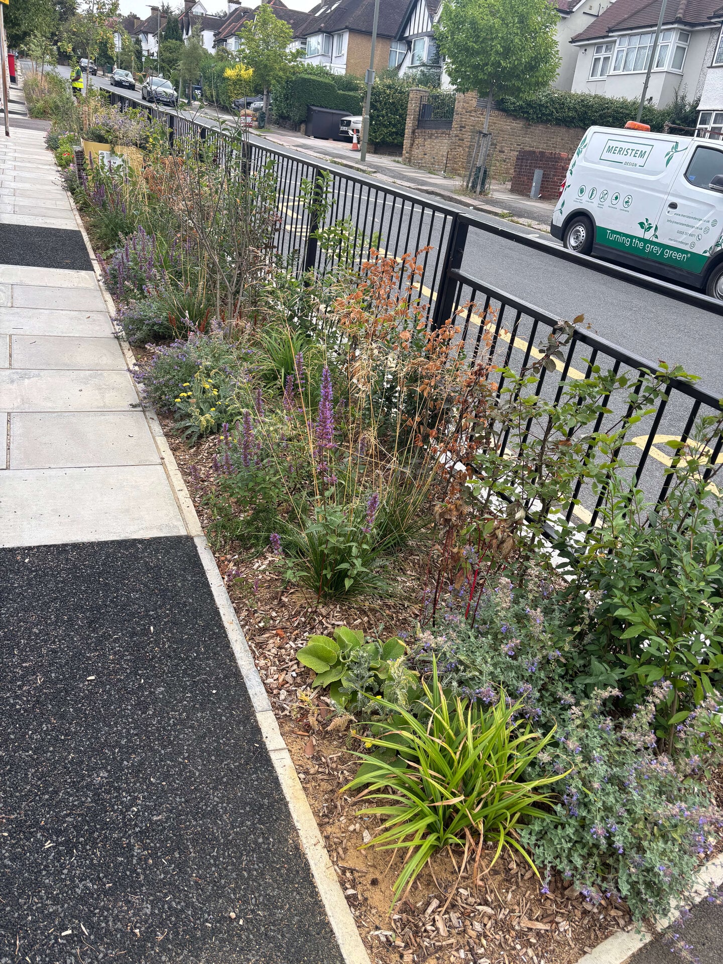 Wessex Gardens School SuDS